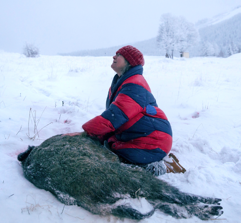 Spoor,Regi: Agnieszka Holland/Kasia Adamik,En skrudd thrilleraktig film som forsøker å si noe om så vel mellommenneskelige forhold som hvordan vi behandler den verden vi lever i. Polske Agnieszka Holland er filmkunstneren som etter at hun samarbeidet med Polens mester Krzysztof Kieslowski har gått sine egne veier, blant annet til amerikanske TV-serier som «House of Cards». Her har hun imidlertid regissert en film nærmere hjertet sammen med datteren. «Spoor» handler om en pensjonert einstøing som en dag frarøves det kjæreste hun eier, og det skal gå hardt utover det lokale jaktlaget. En absurd, episodisk og feministisk ladet film om hevn, makt og jegere på avveie.