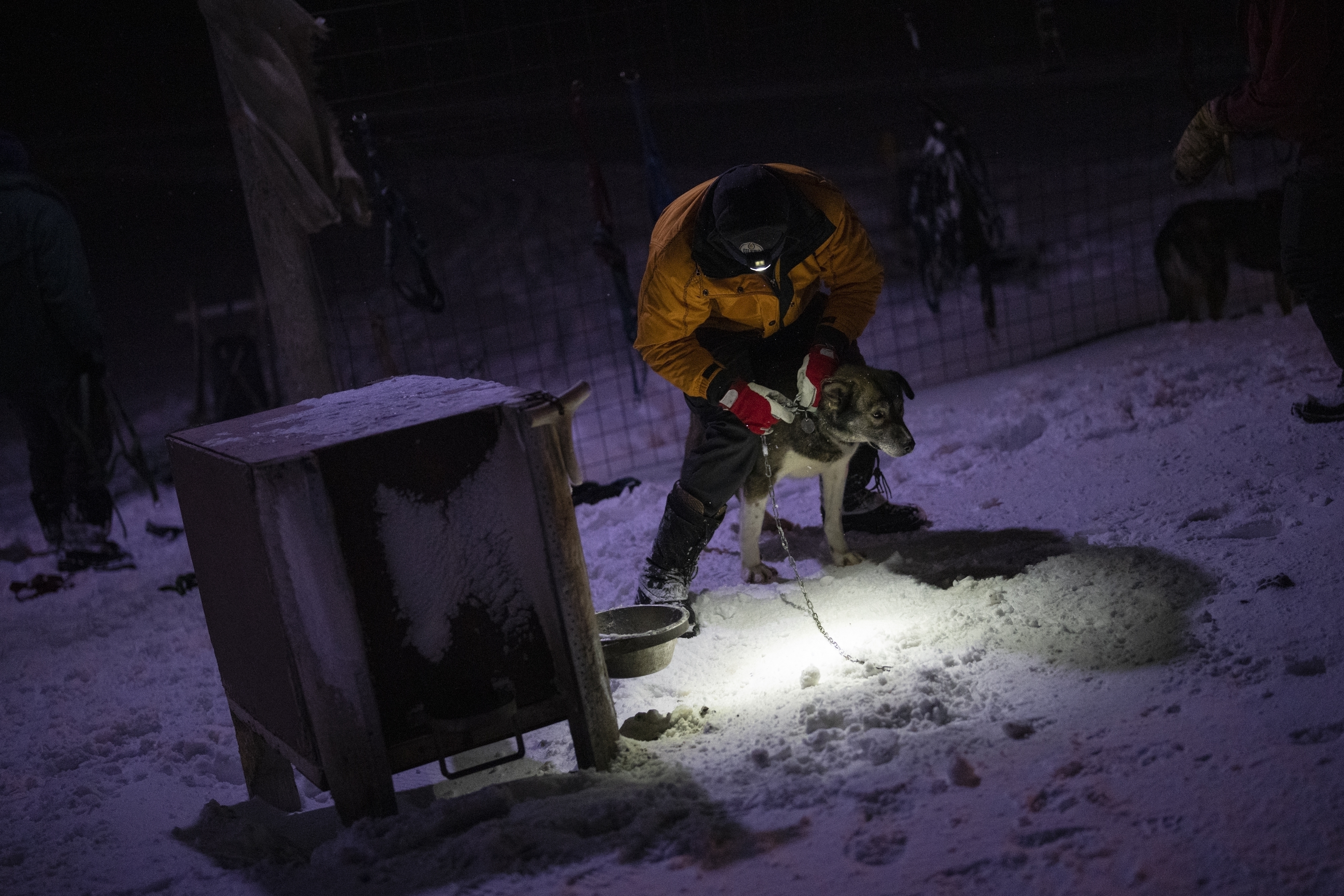 HUNDEGÅRD: En hund spennes til hytten sin i hundegården i Bolterdalen.