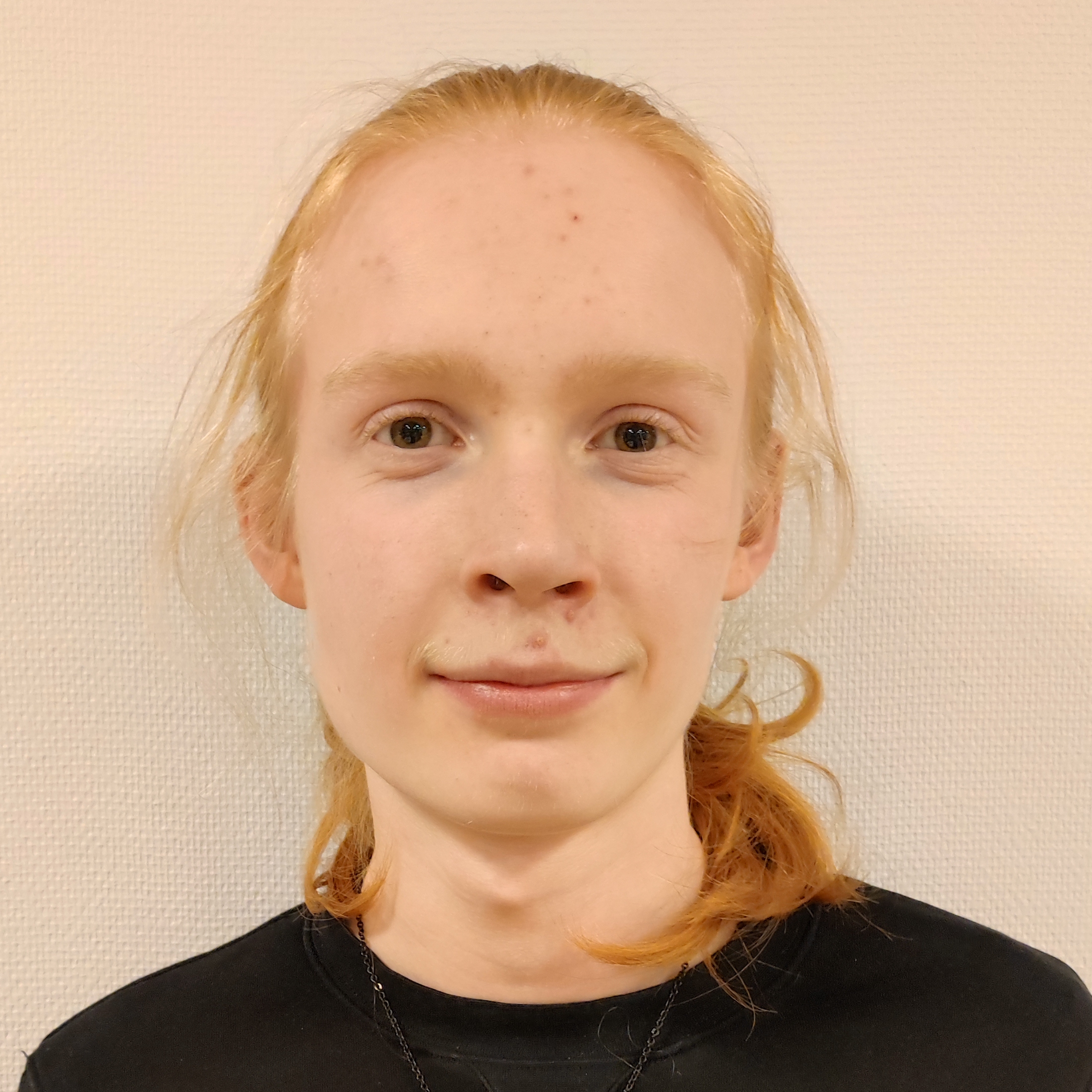 16-årig pojke