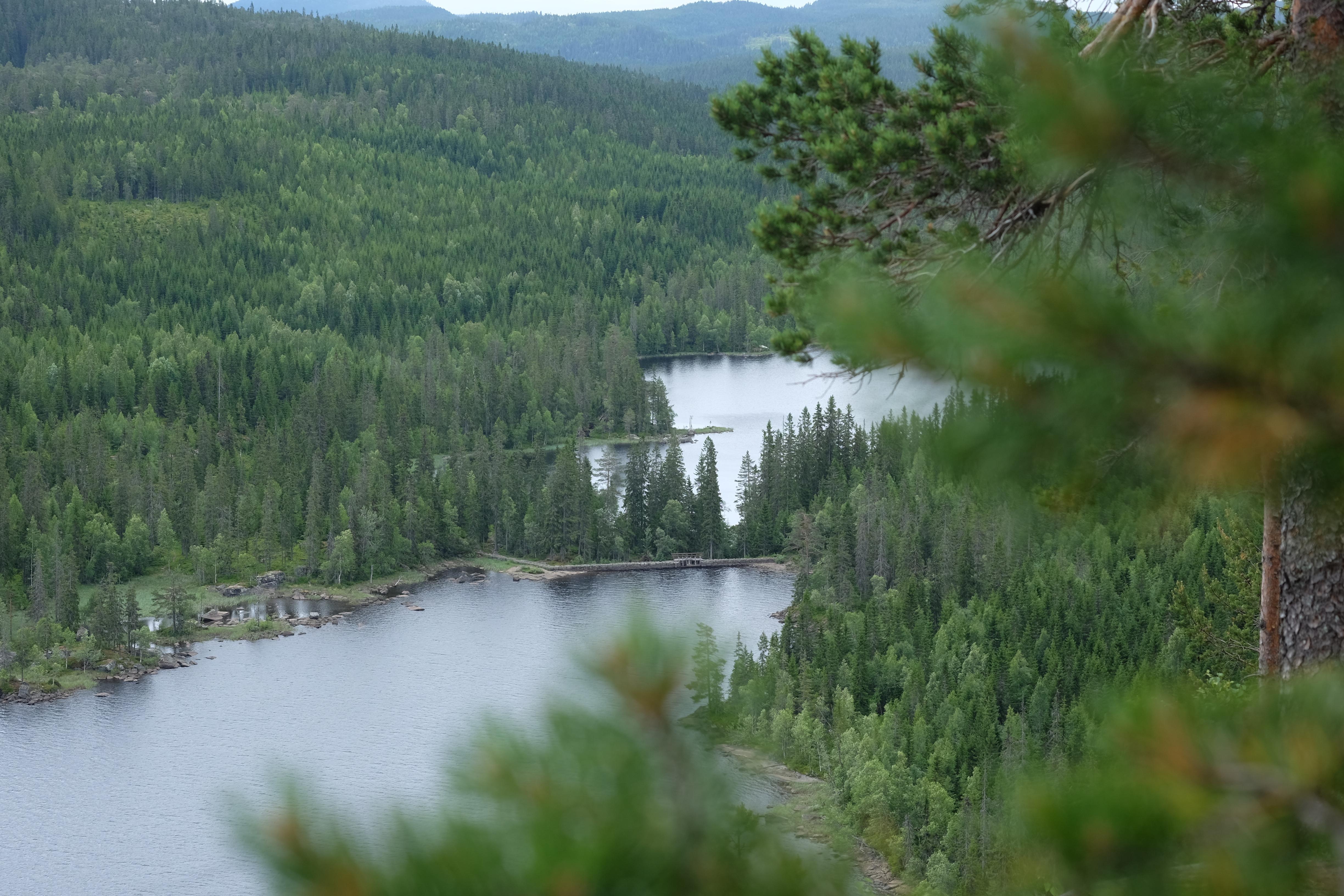 Persvannet i Nordmarka.