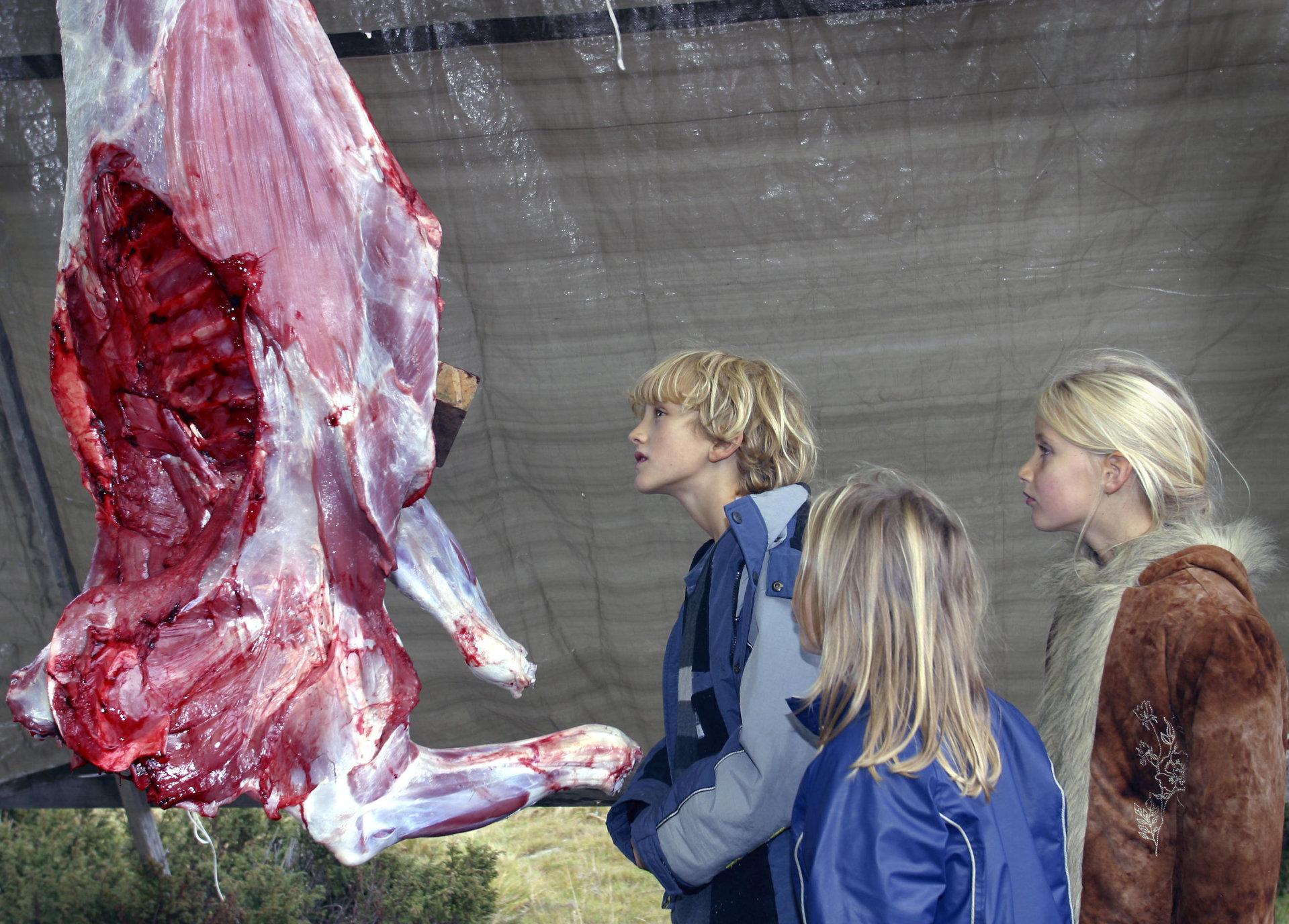 Ikke minst barn og unge i de mest urbaniserte områdene i Norge, trenger informasjon om hvor maten kommer fra, mener NJFF.ILLUSTRASJONSFOTO: NTB SCANPIX