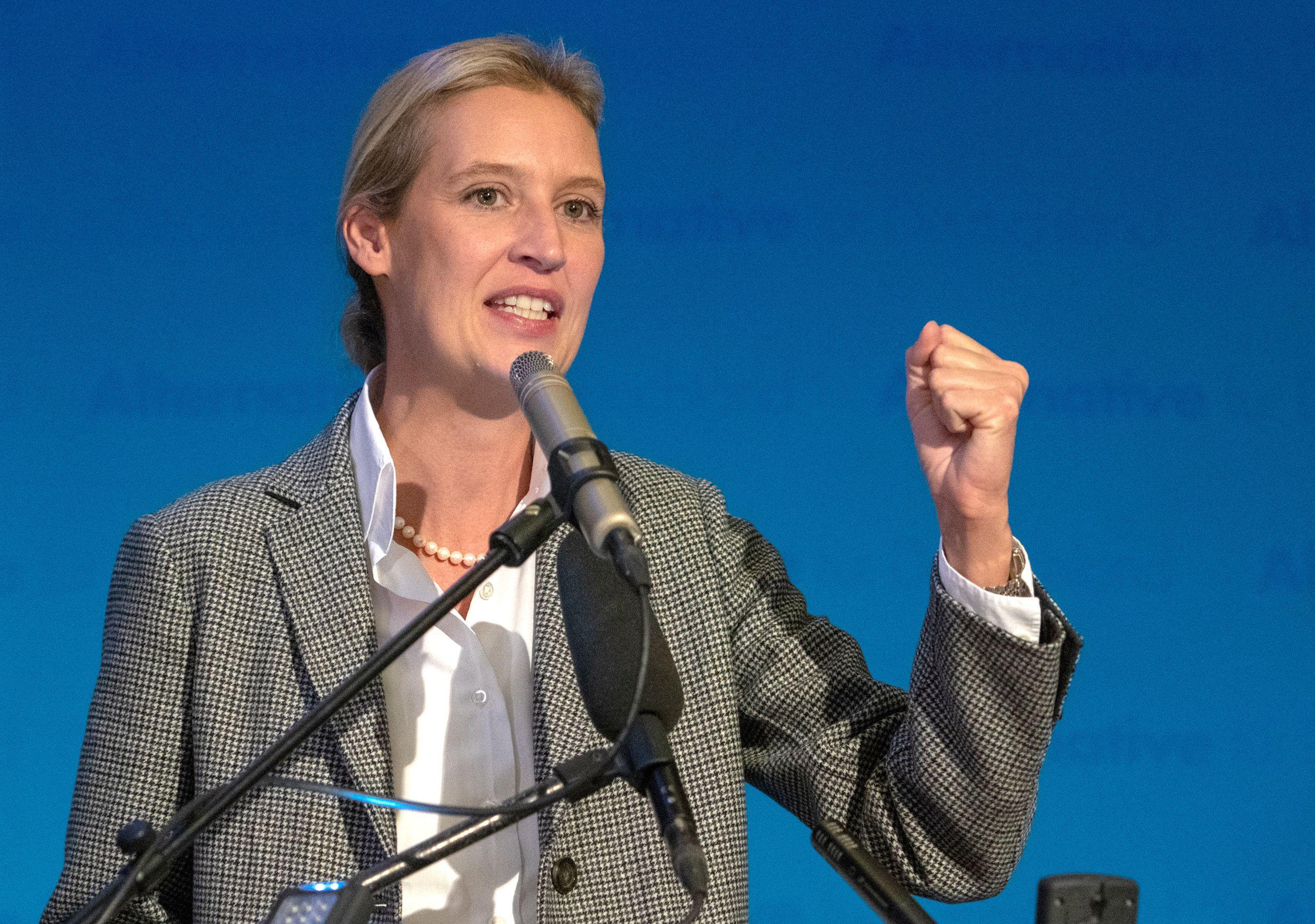 Alice Weidel, co-leader of the parliamentary group of the Alternative for Germany (AfD) far-right party, speaks to supporters at an election party in Mamming, southern Germany, on October 14, 2018. (Photo by Armin Weigel / dpa / AFP) / Germany OUT