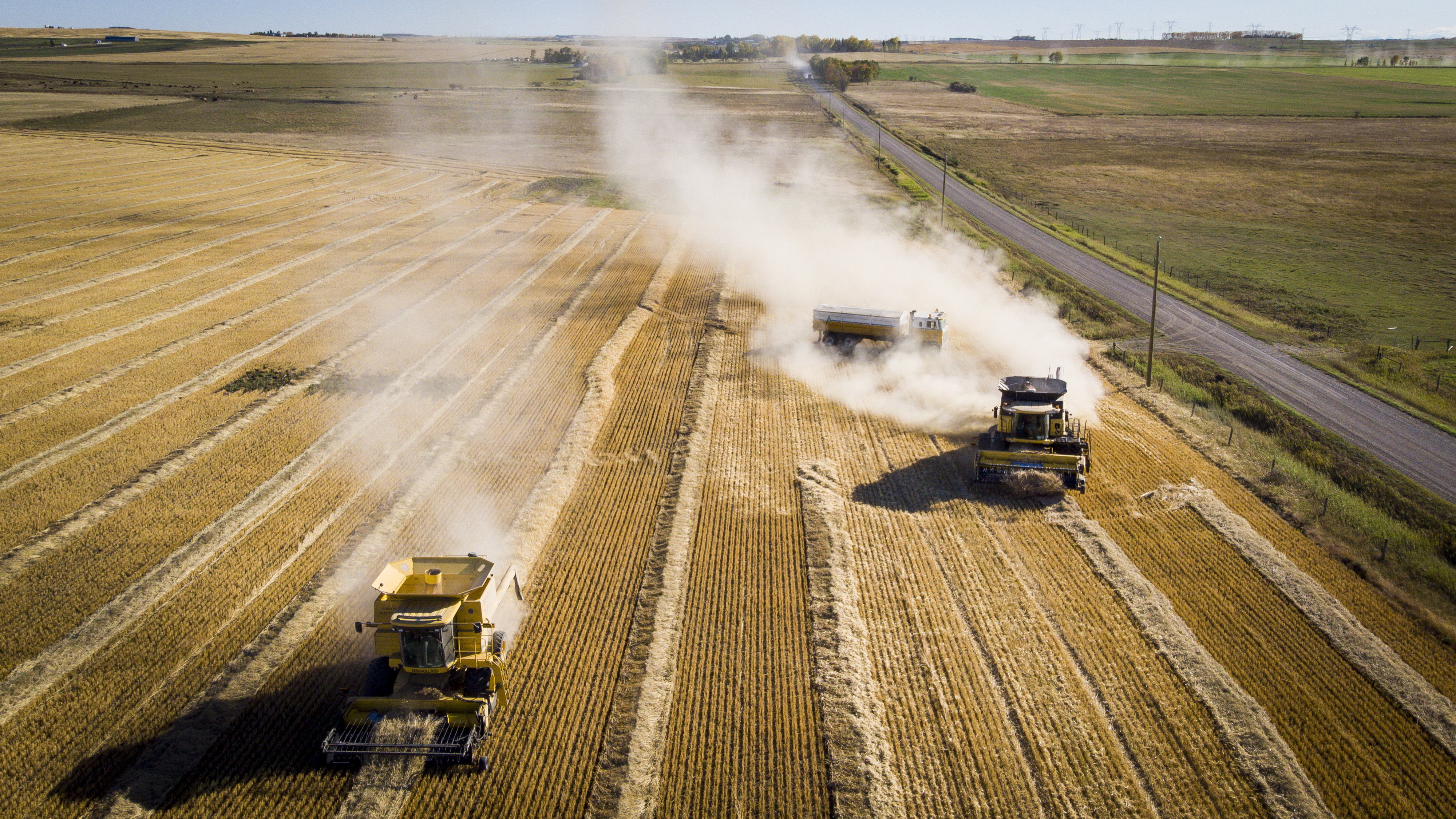 The Reid family harvest their wheat crop near Cremona, Alberta, Sunday, Sept. 27, 2020. Canada is the world's sixth-largest producer and one of the largest exporters of wheat, annually producing an average of over 25 million tonnes and exporting around 15 million tonnes.(Jeff McIntosh/The Canadian Press via AP)