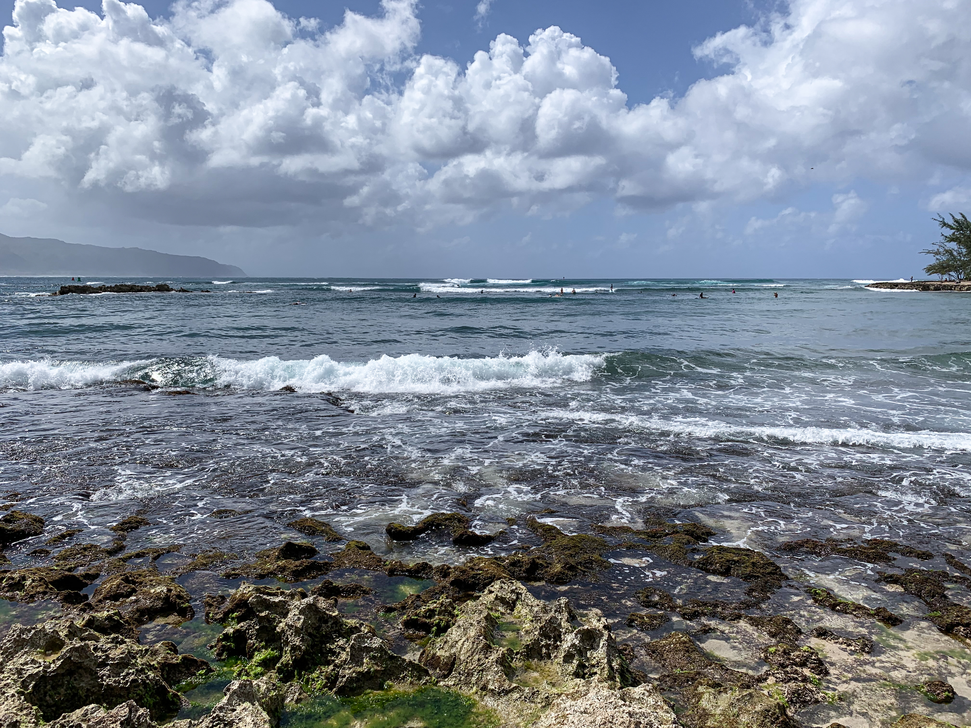 Hanna Wänerskog, 20år, sveptes bort i havet på Hawaii för ett år sedan och har aldrig setts sedan dess.

Familjen Wänerskog åkte till Hawaii för att få en bild av det som hände.