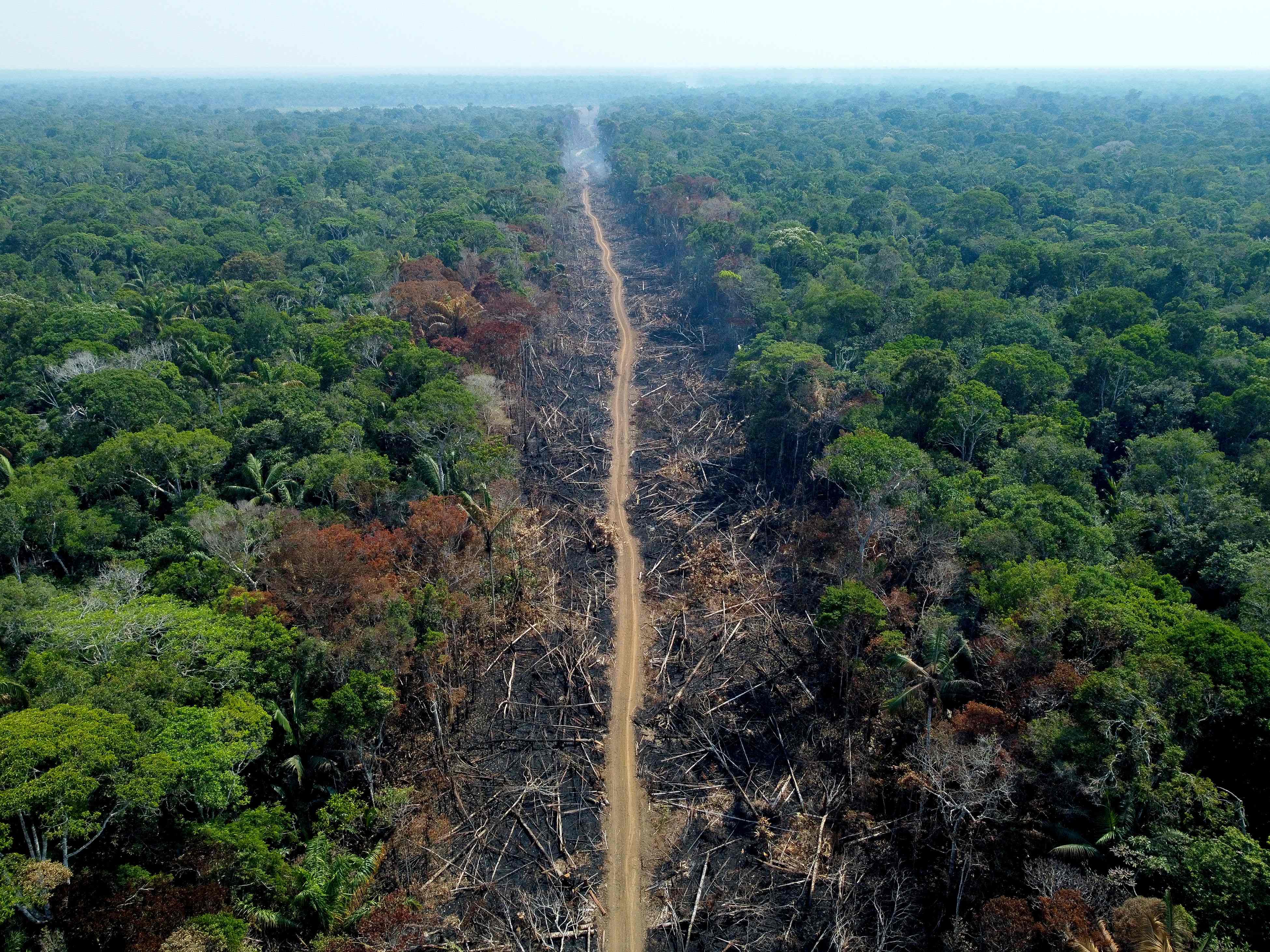 Flyfoto av Amazonas fra september 2022, viser store områder med avskoging.
