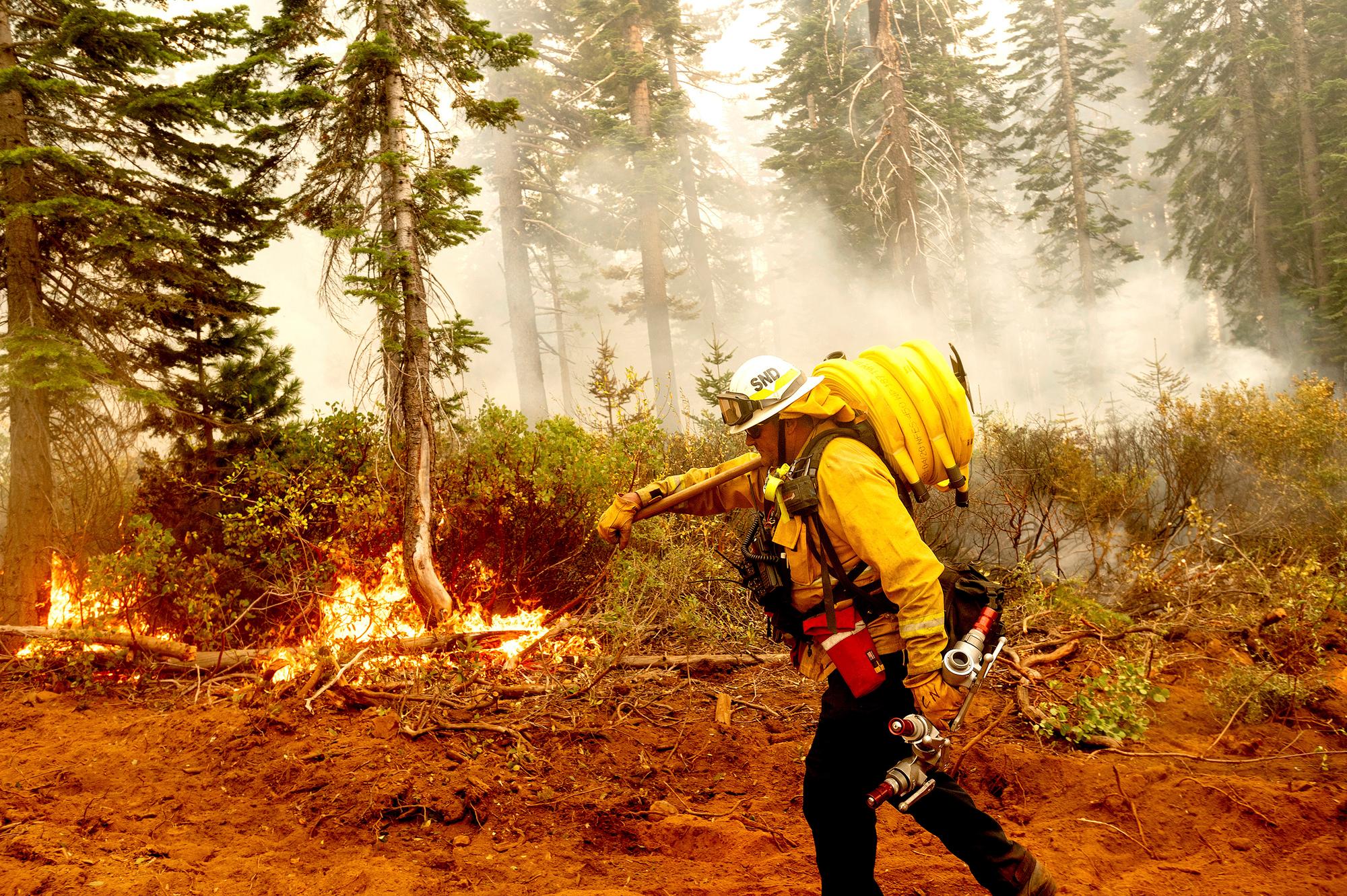 Cal Fire Battalion Chief Craig Newell carries hose while battling the North Complex Fire in Plumas National Forest, Calif., on Monday, Sept. 14, 2020. (AP Photo/Noah Berger)