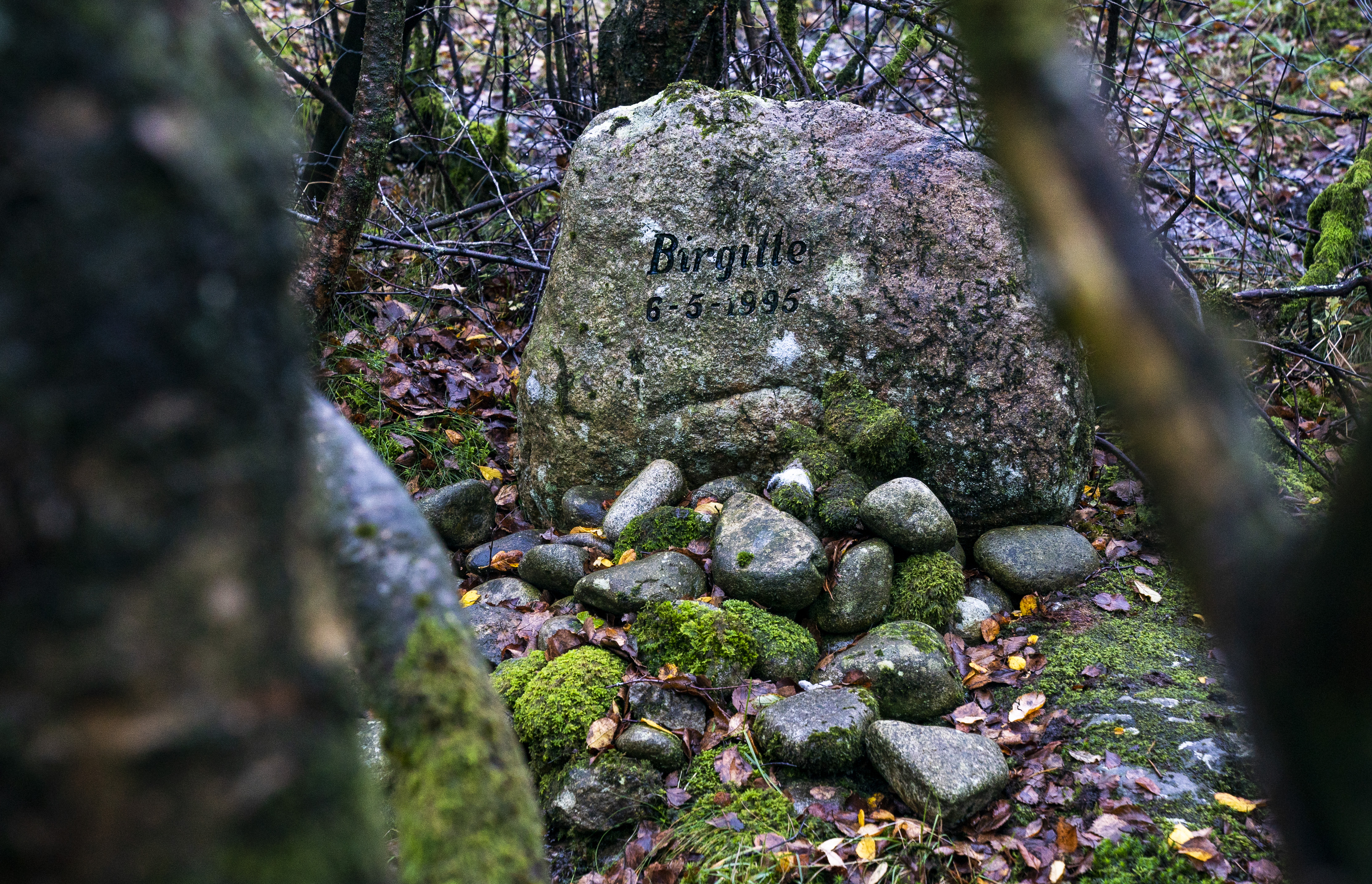 Tengs-saken som kan gi svar