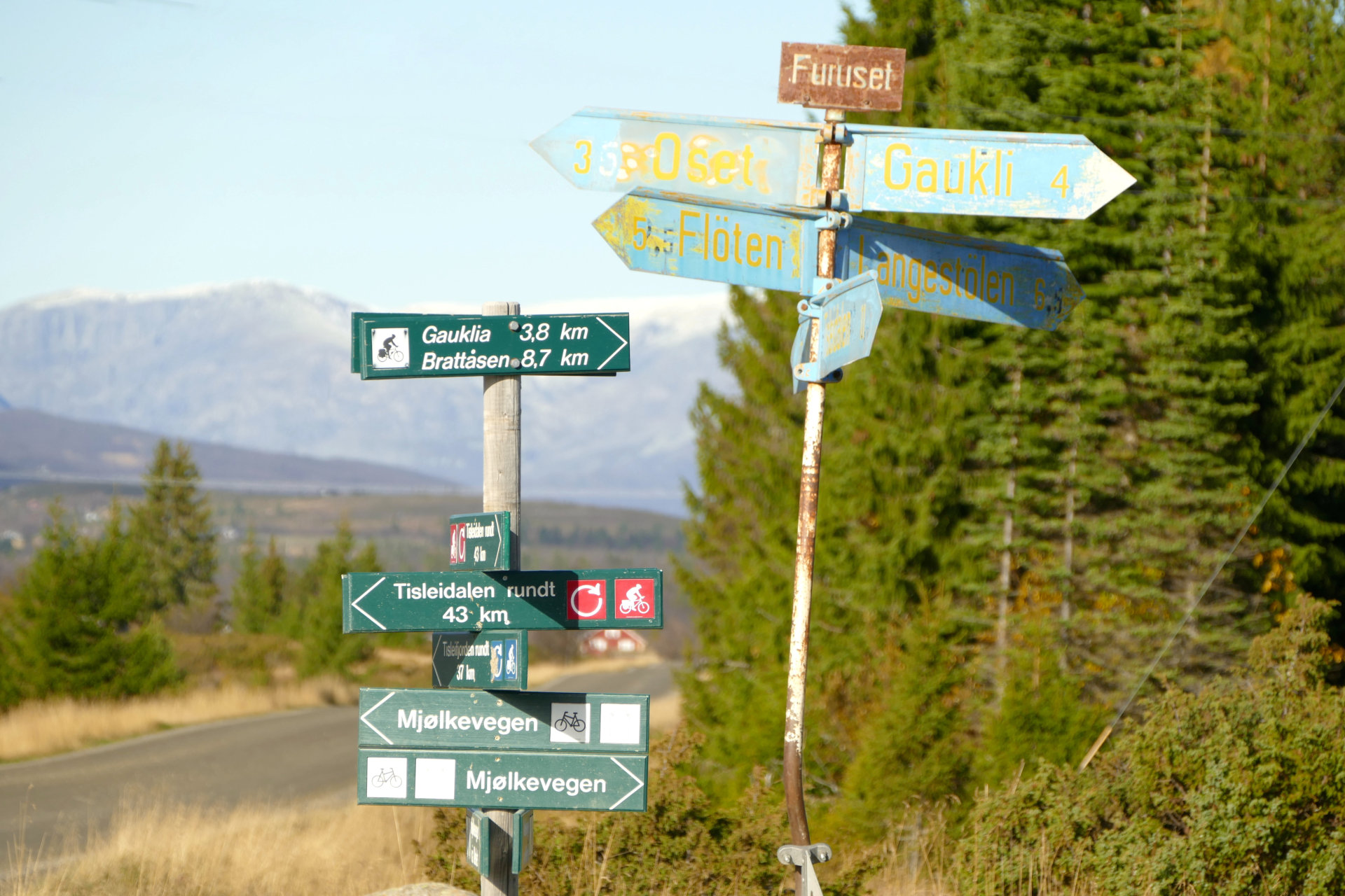 Sykkelrutene på Golsfjellet meget godt merket.