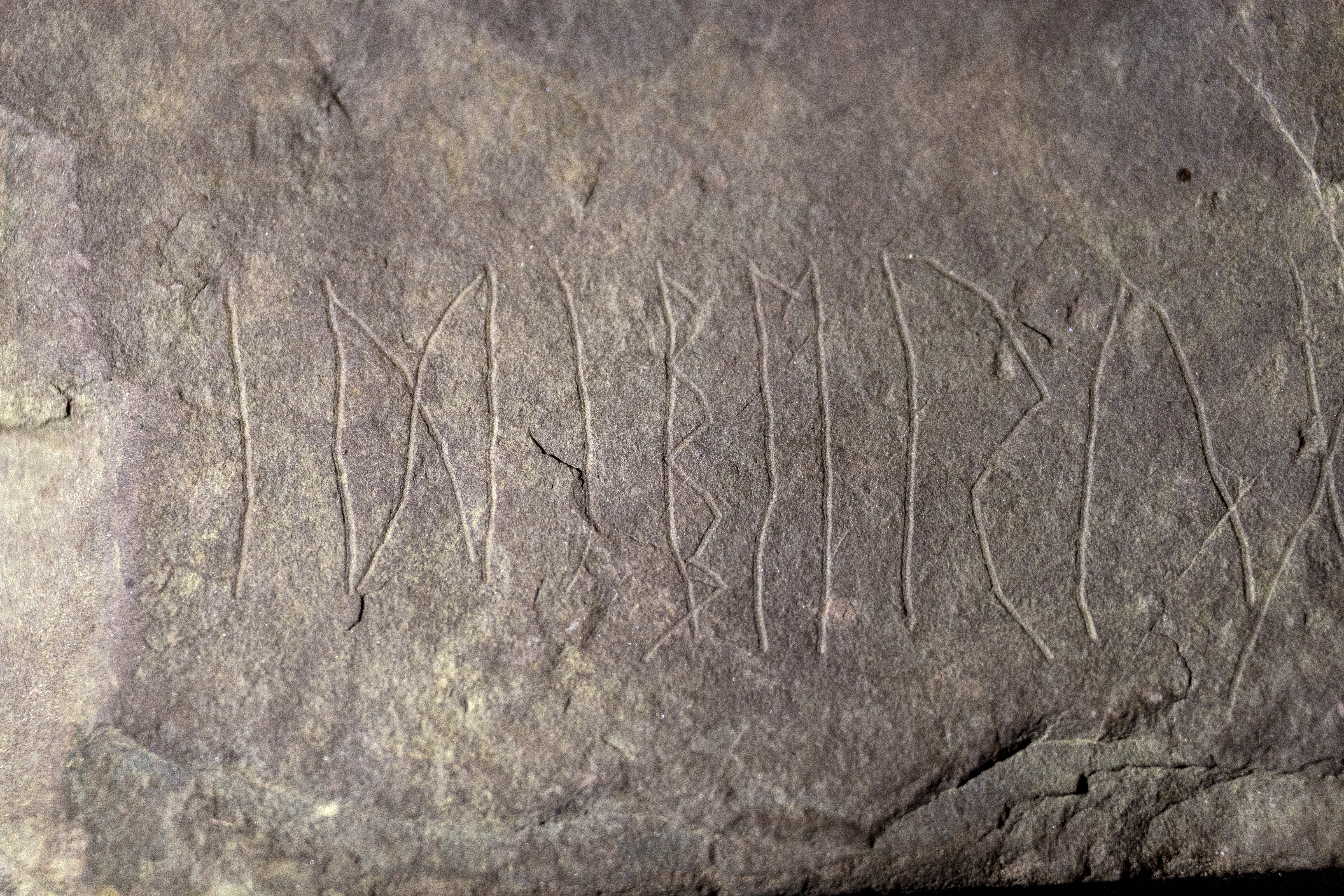 Verdens eldste runestein funnet ved Tyrifjorden