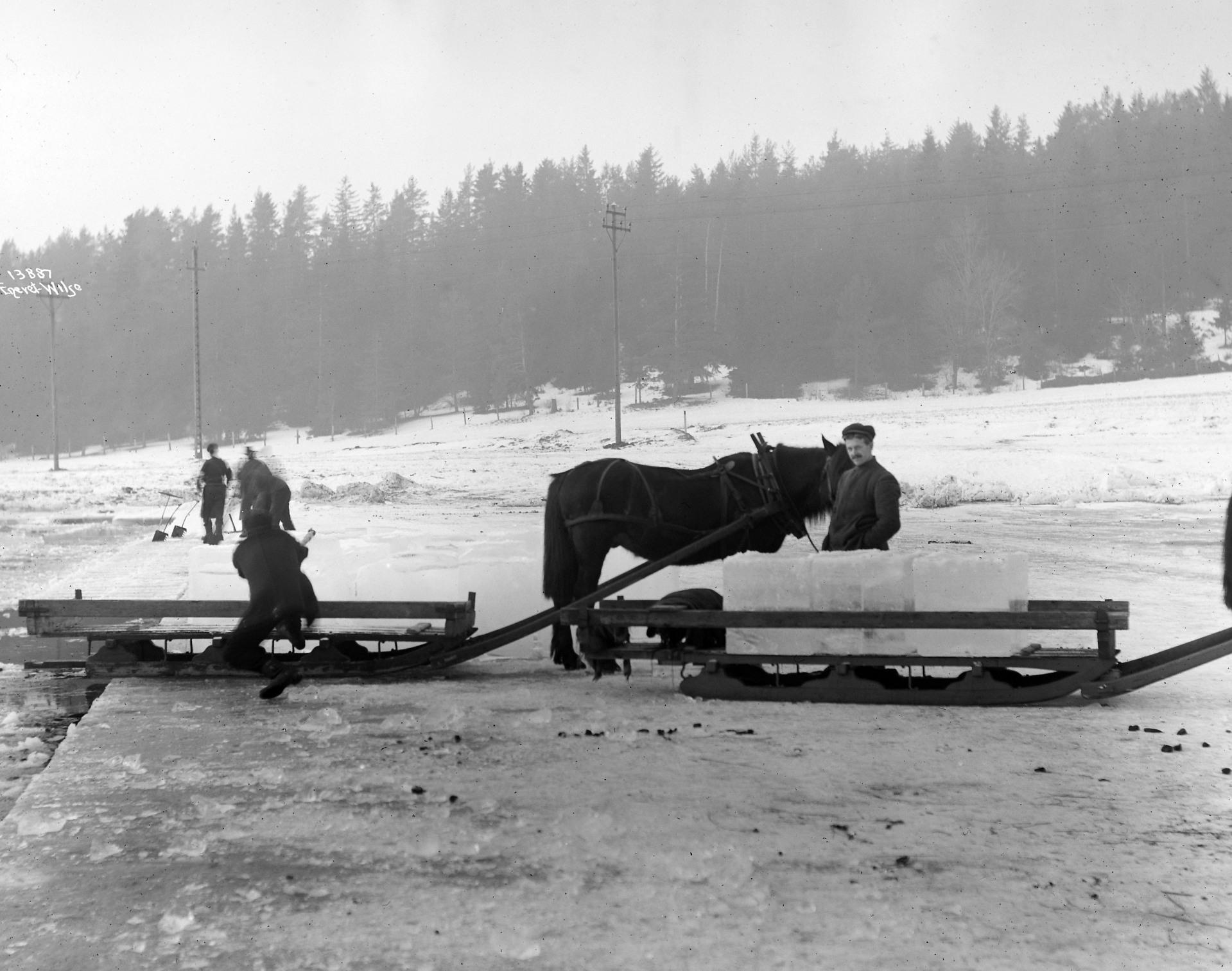 Isen fra Smestaddammen og andre produksjonssteder ble fraktet vekk med hest og slede og lagret i ishus, hvor den kunne ligge fra februar-mars til høsten.