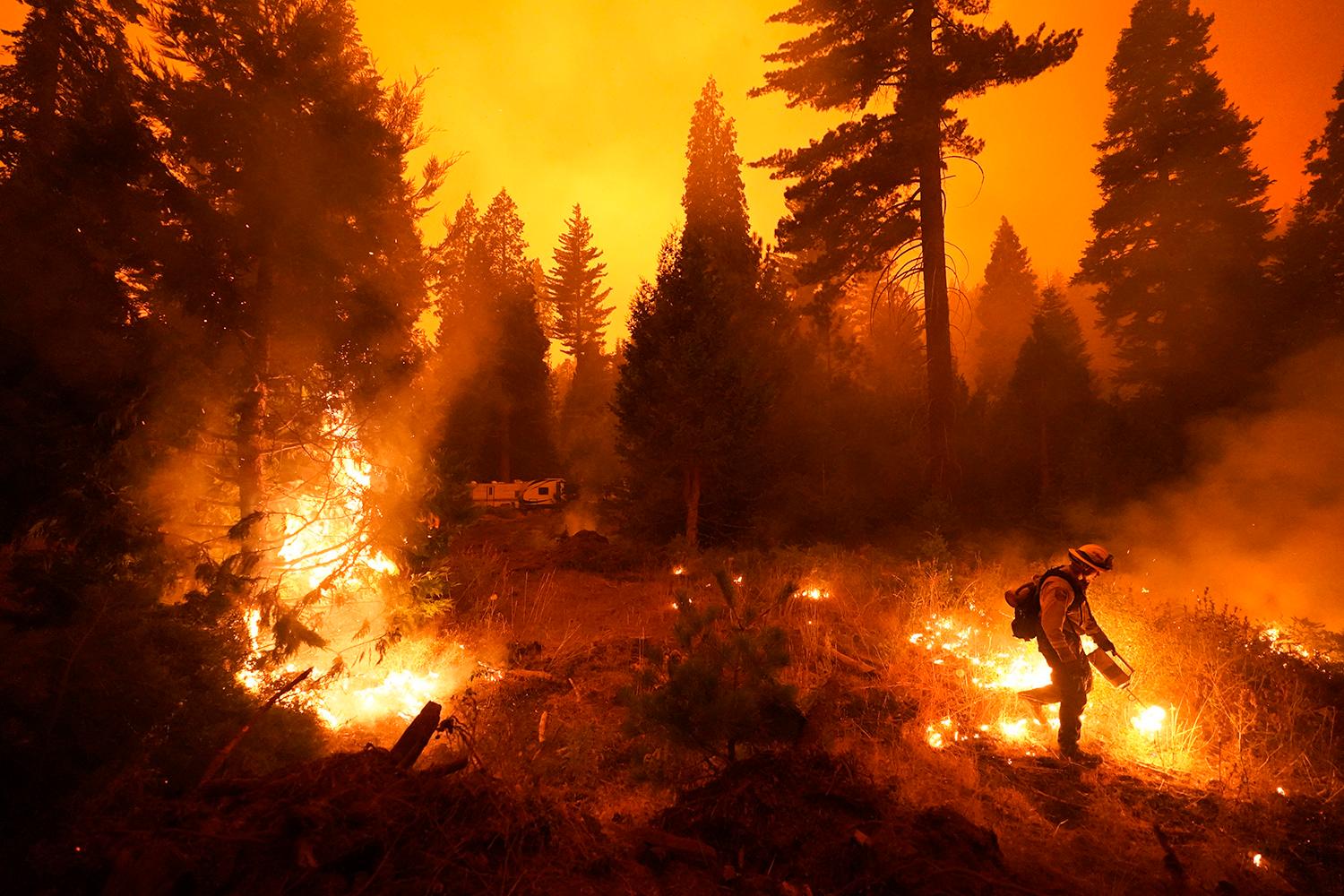 Firefighter Ricardo Gomez, of a San Benito Monterey Cal Fire crew, sets a controlled burn with a drip torch while fighting the Creek Fire, Sunday, Sept. 6, 2020, in Shaver Lake, Calif. (AP Photo/Marcio Jose Sanchez)