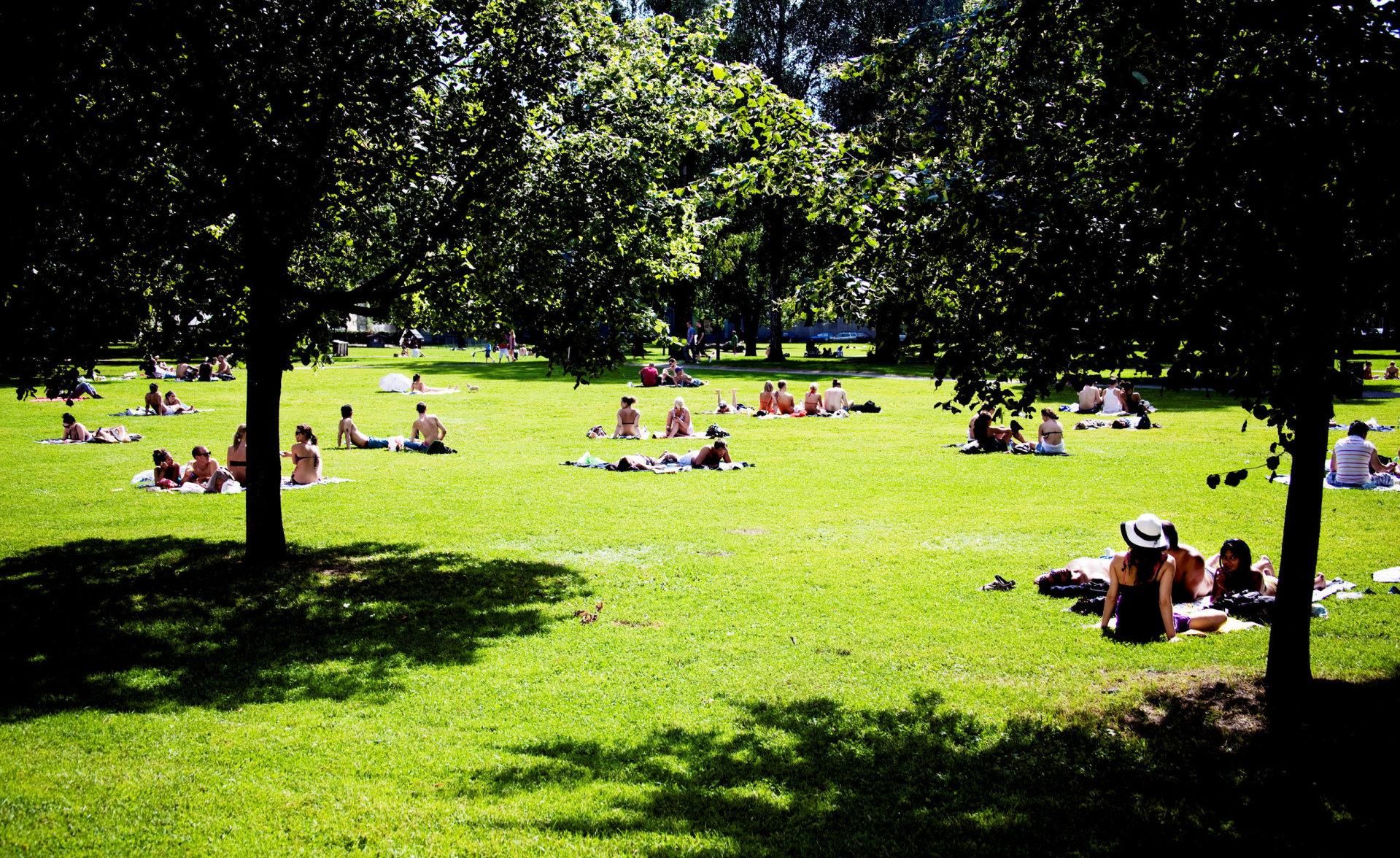 Sofienbergparken bidrar til at tett befolkede Grünerløkka har 24 kvadratmeter vegetasjon per innbygger.