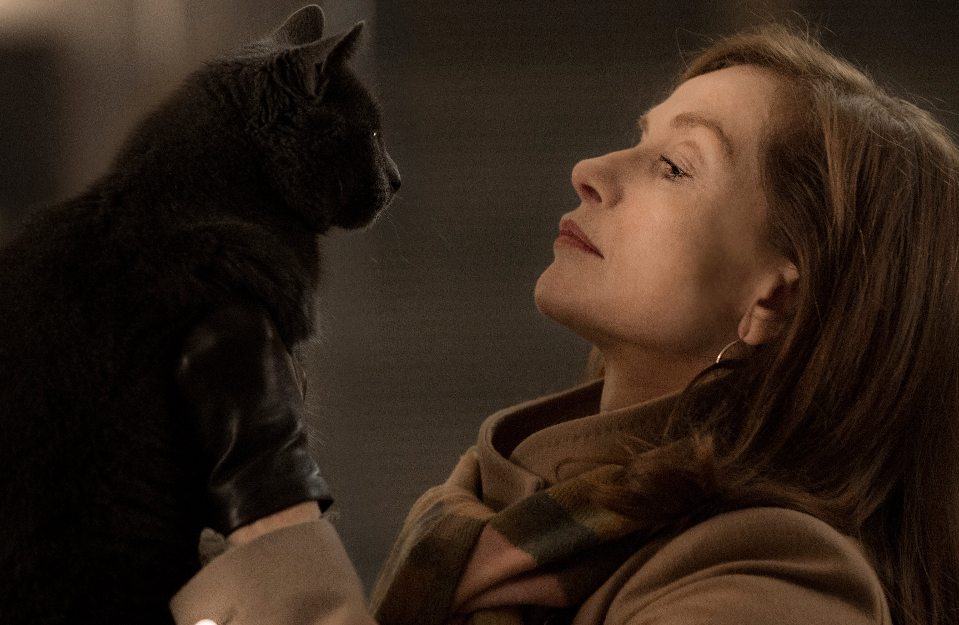 Isabelle Huppert, her sammen med historiens ikke uviktige katt, bærer «Elle» til uante høyder, en svart thrillerkomedie uten filter. FOTO: UIP