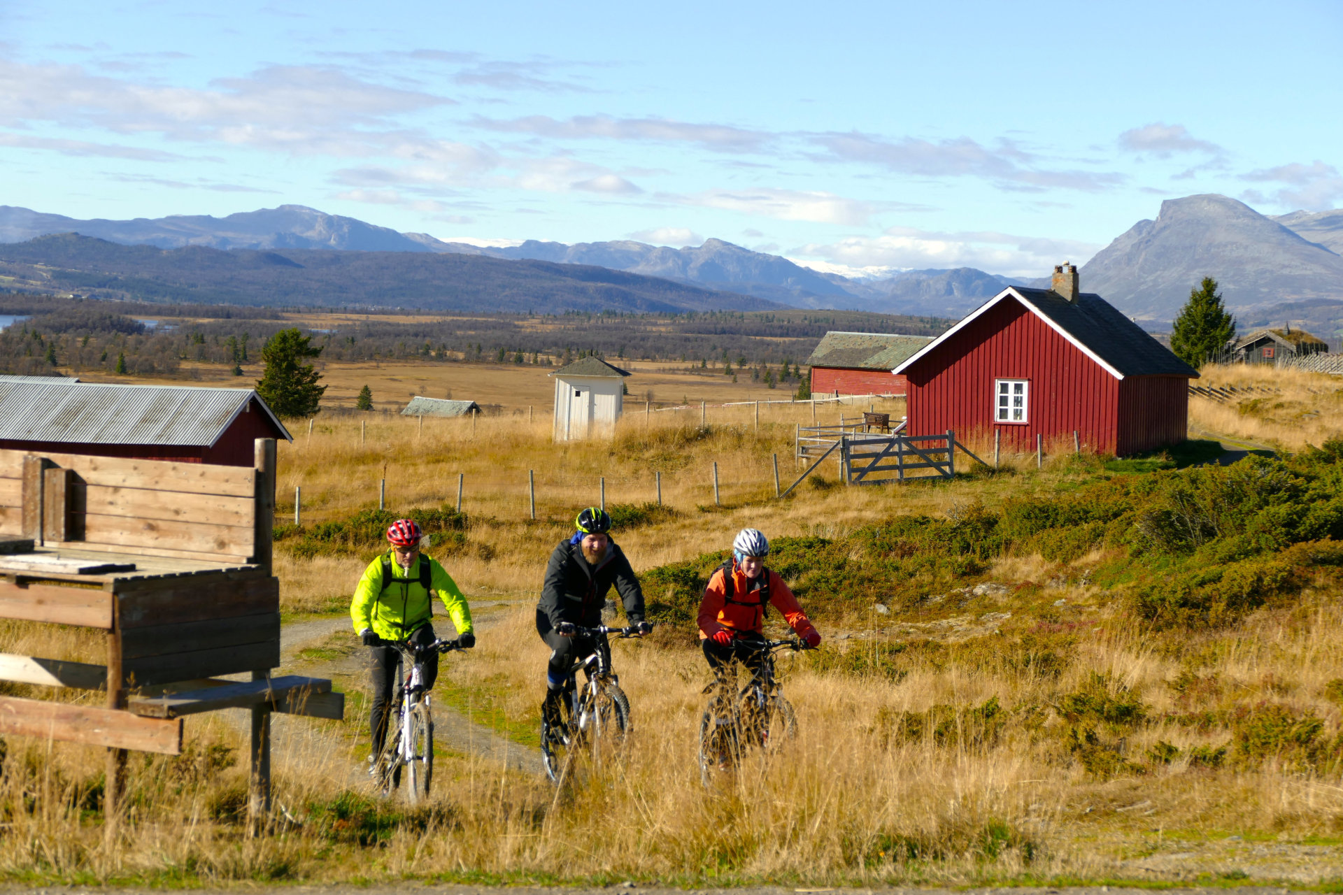 På Golsfjellet og i Valdres går det et finmasket nettverk av flotte sykkelveier mellom levende støler. 