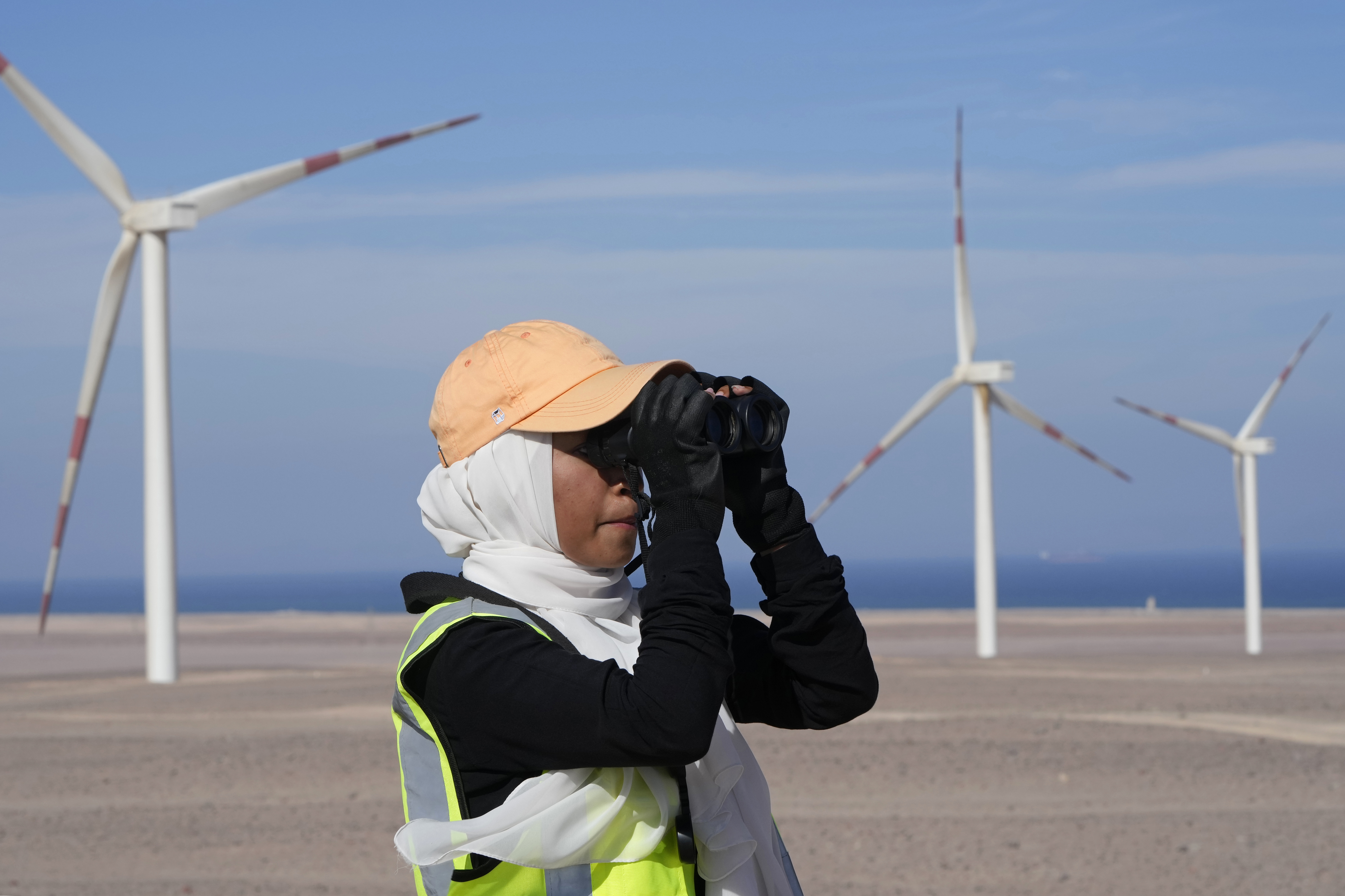 En kvinne holder utkikk etter fugler ved et vindkraftverk i Egypt, som arrangerer klimatoppmøte neste måned. Foto: Amr Nabil / AP / NTB