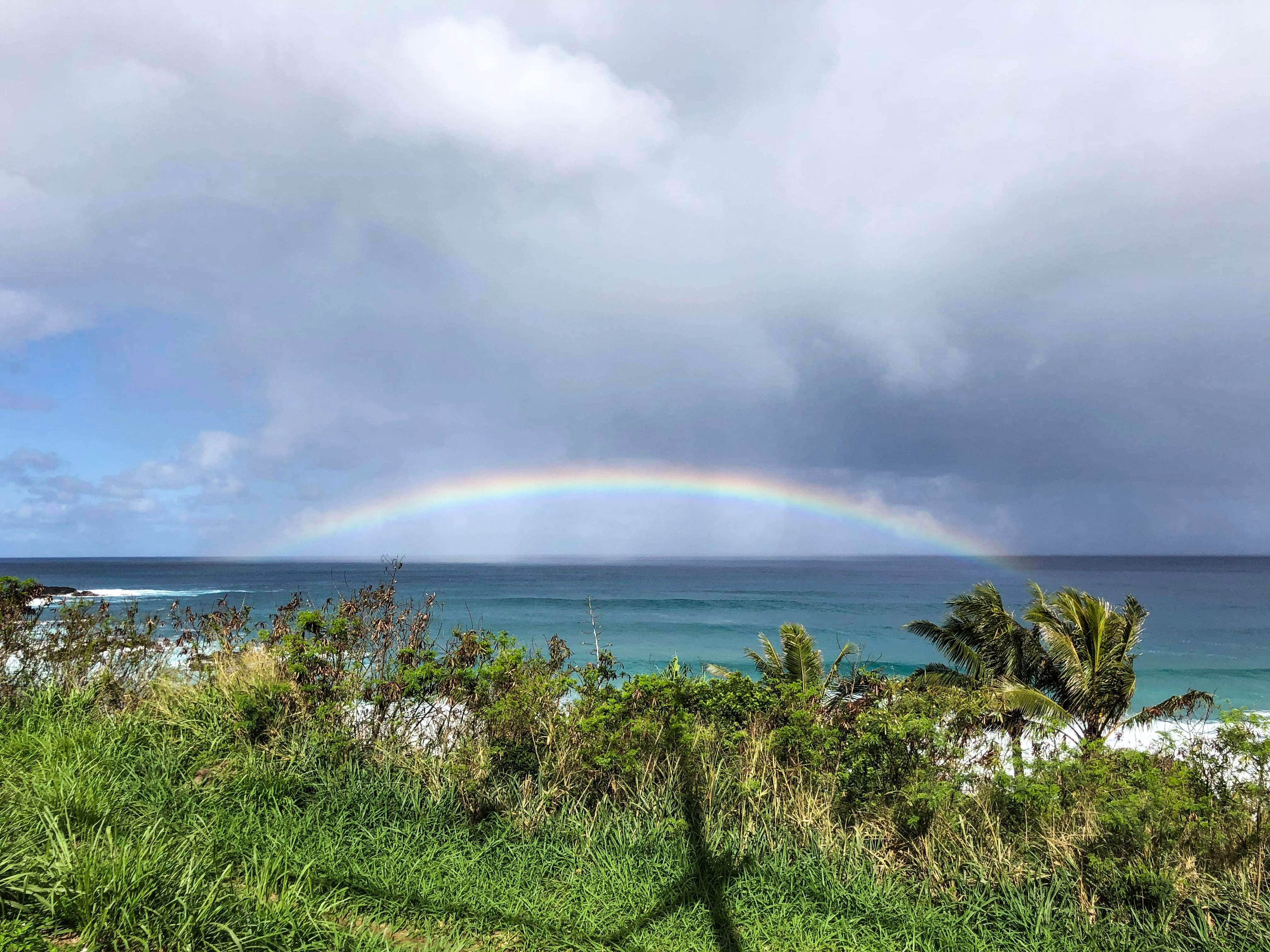 Hanna Wänerskog, 20år, sveptes bort i havet på Hawaii för ett år sedan och har aldrig setts sedan dess.