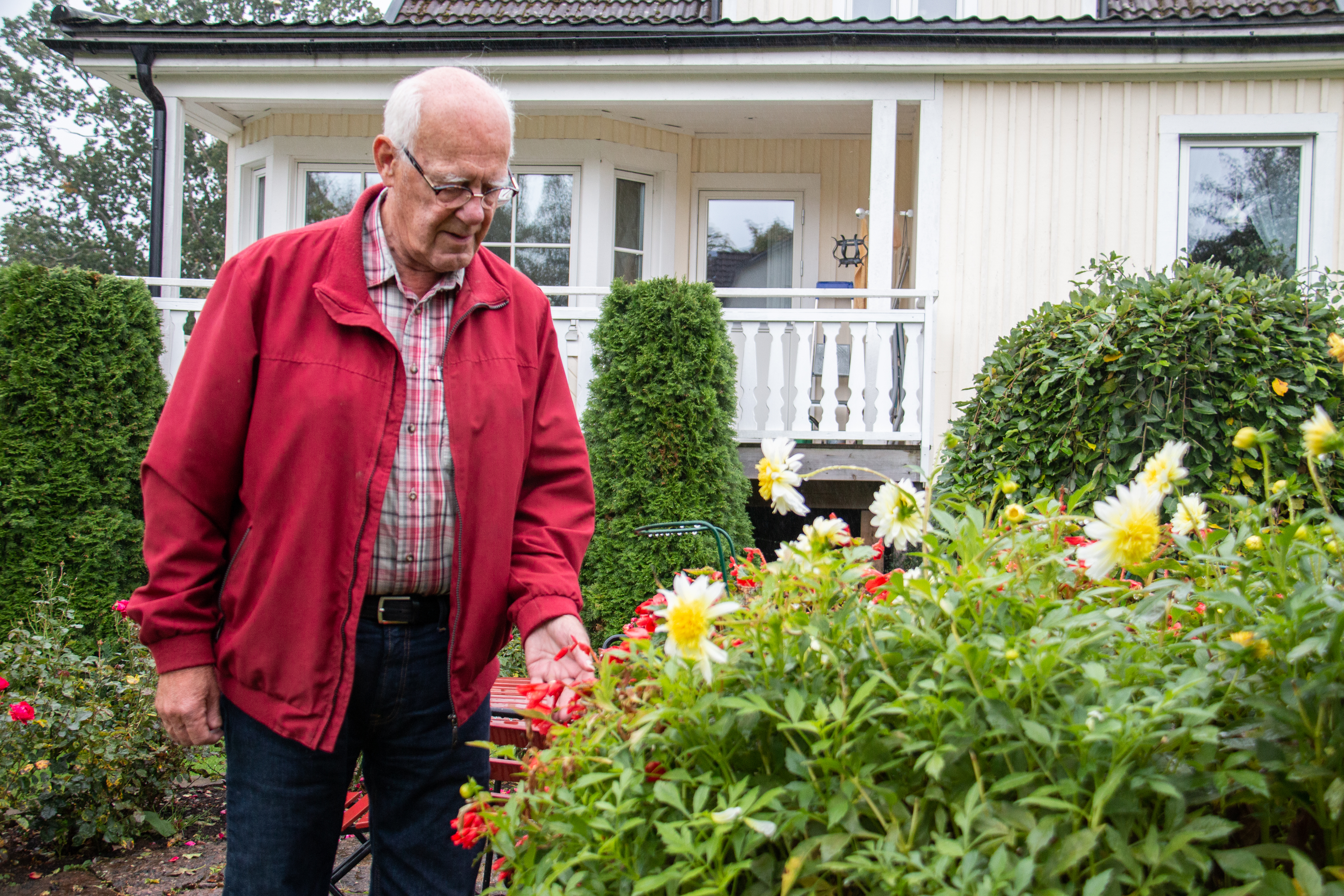 Åke Green är en svensk pingstpastor som uppmärksammades efter en predikan om homosexualitet i juli 2003. Efter att ha dömts för hets mot folkgrupp i Tingsrätten 2004, friades han av Hovrätten och Högsta domstolen 2005.