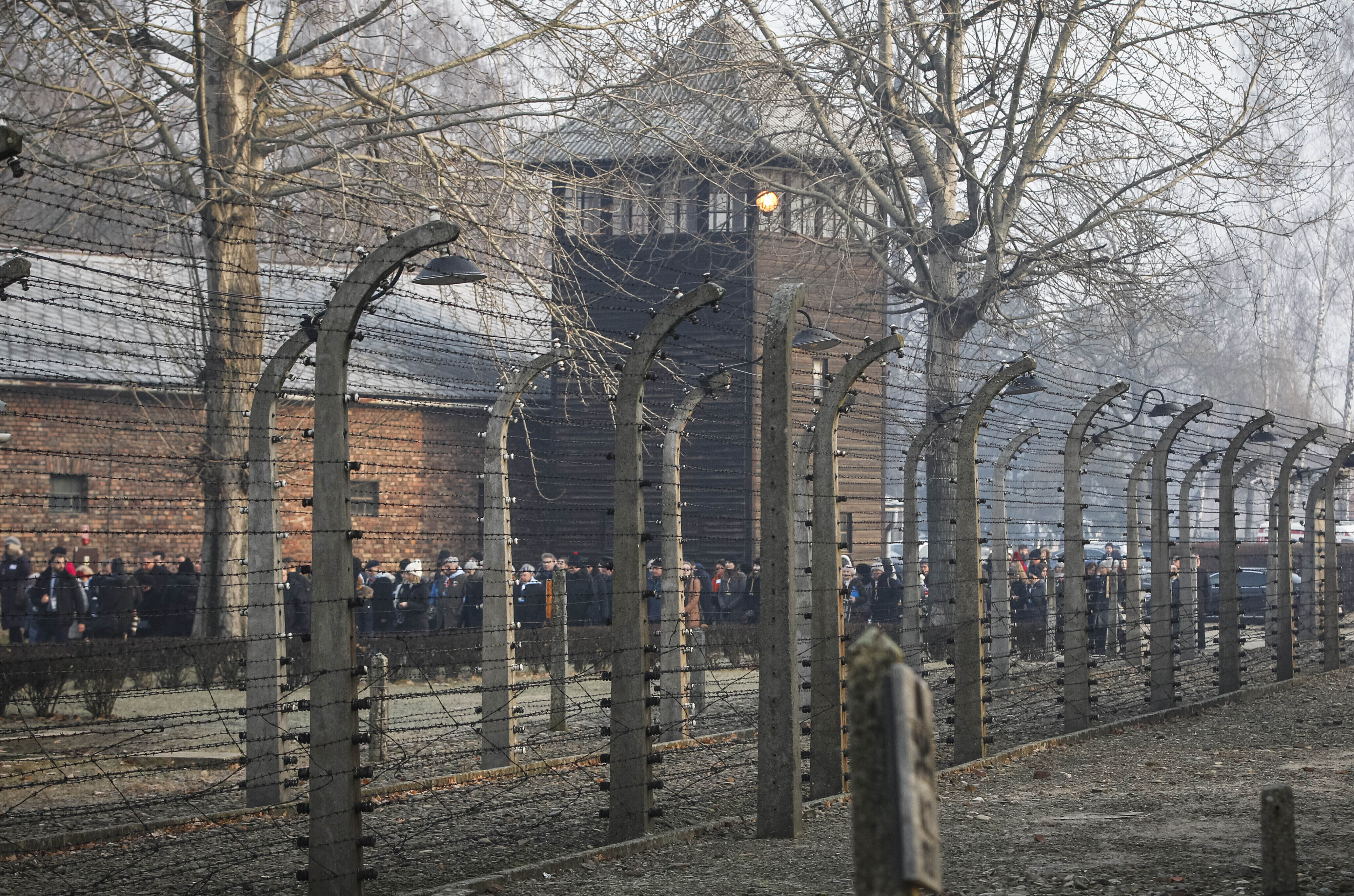 Inga bidrag till Auschwitzresor -  efter medieuppmärksamhet agerade ministern