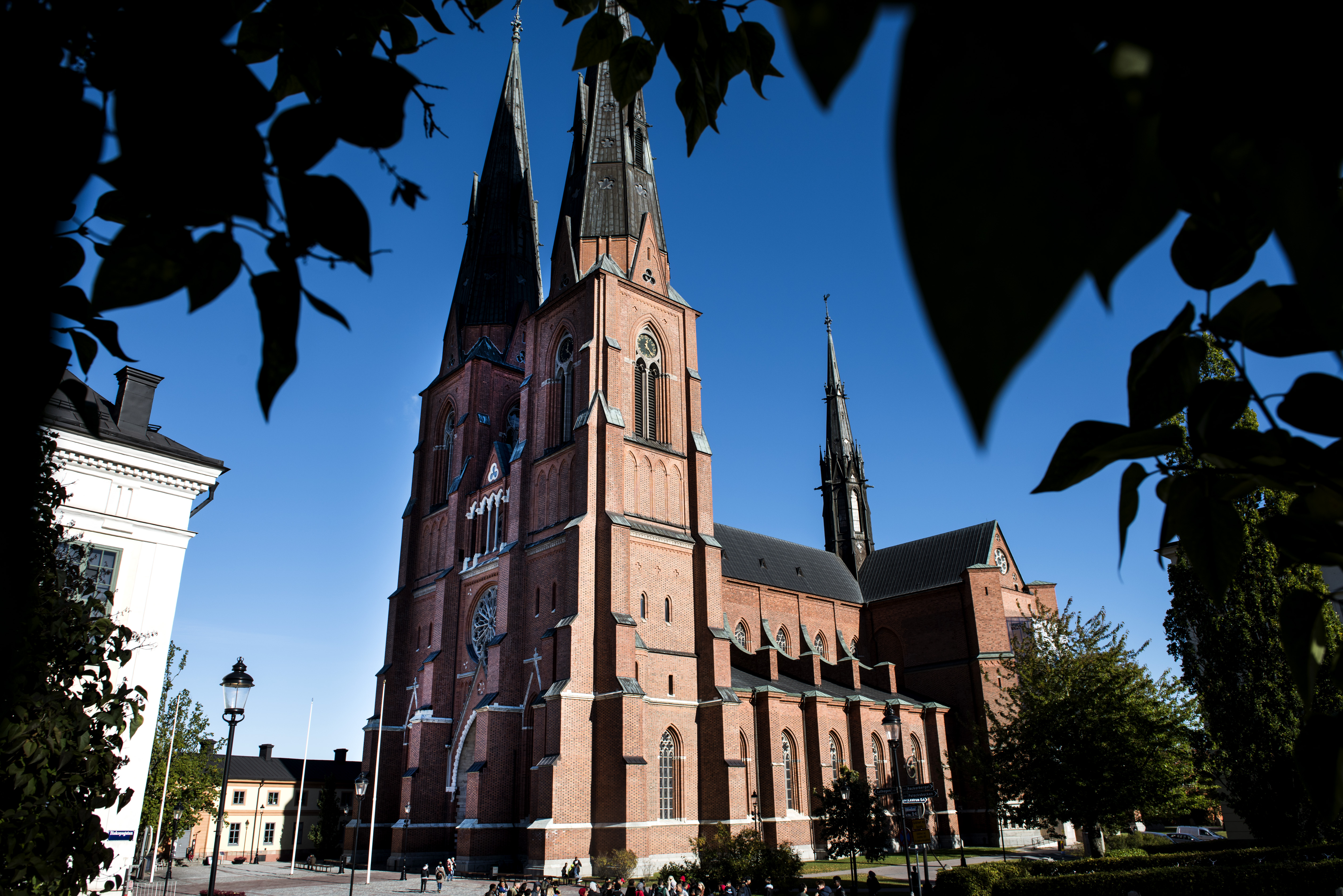 Nu väljs ny ärkebiskop - detta händer i veckan