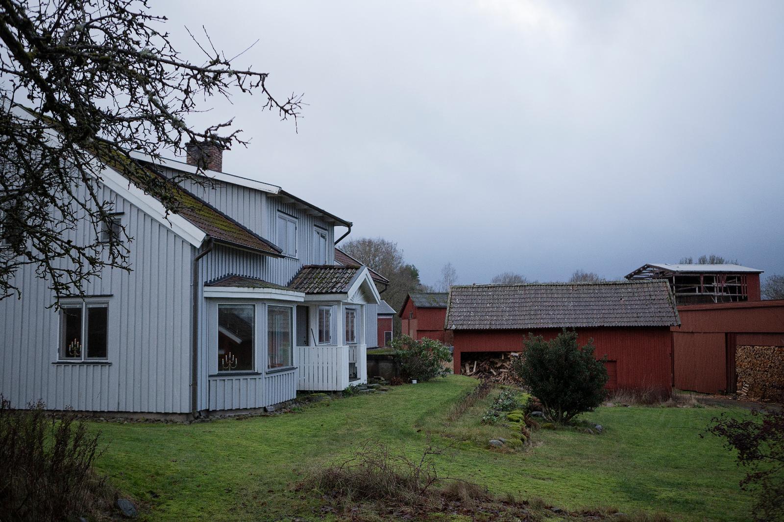 Mjölkning Porr Filmer - Mjölkning Sex Mjölkning Porr Filmer - Mjölkning Sex