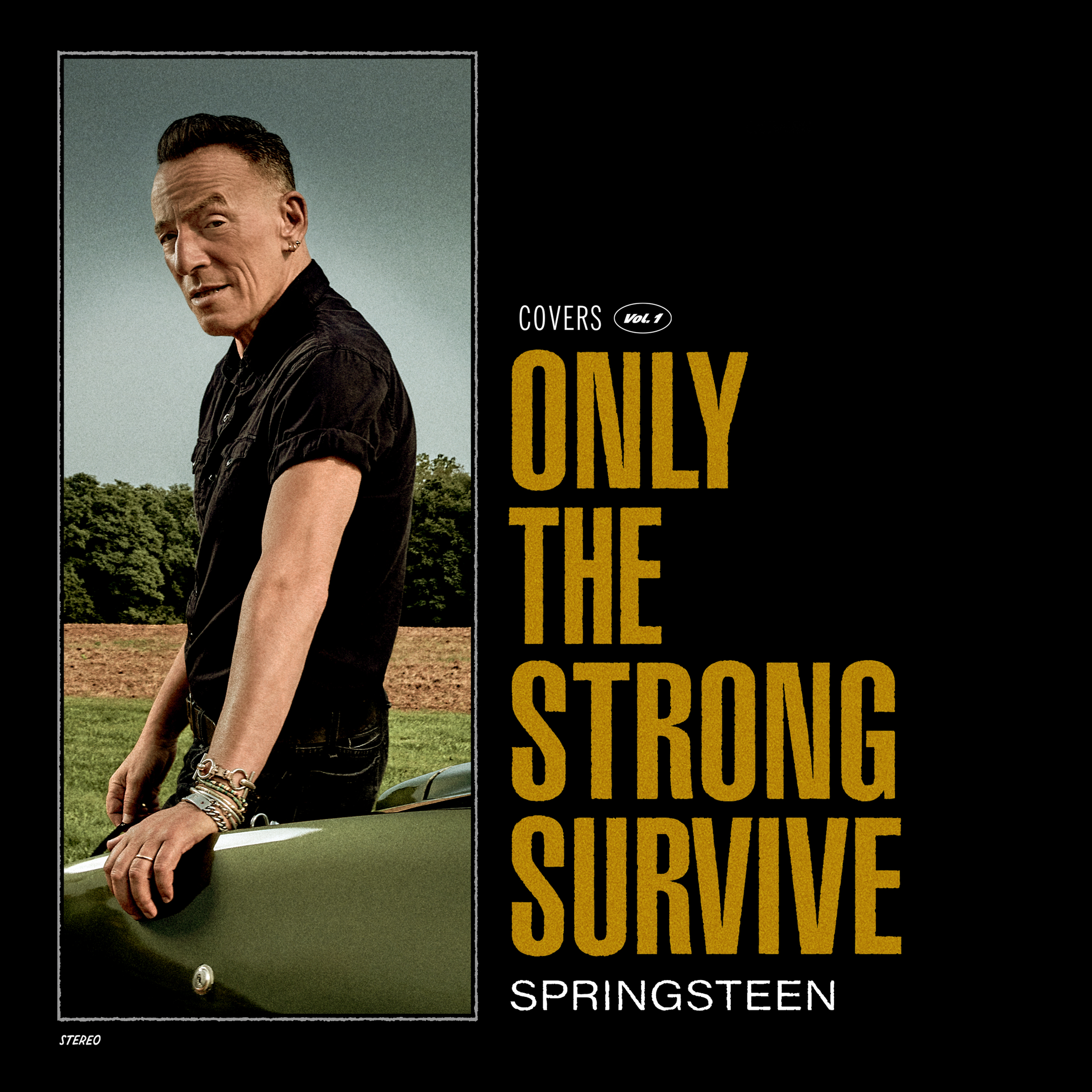 Bruce Springsteen: Only The Strong Survive