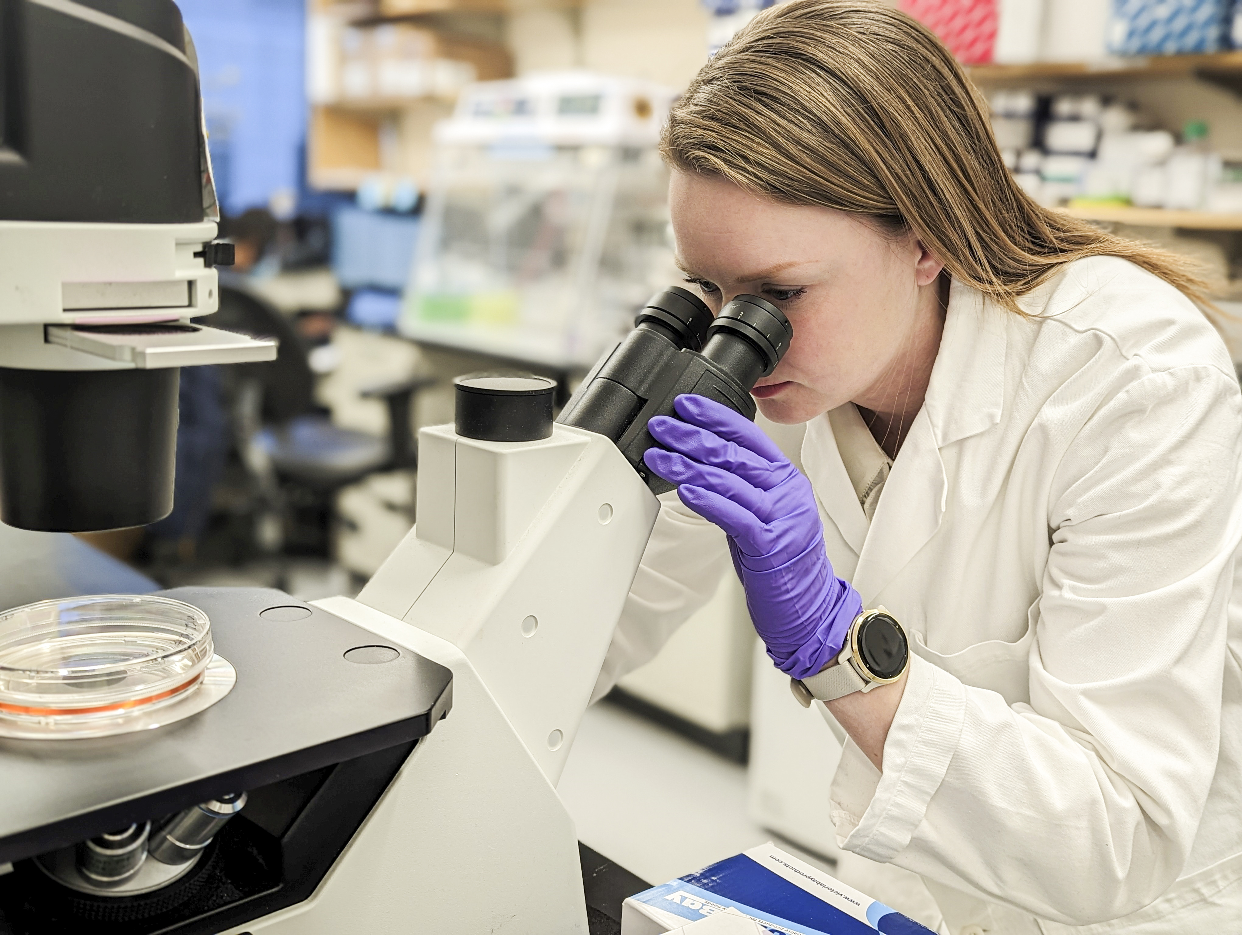 Anna Borgenvik från Växjö jobbar idag som barncancerforskare vid Harvard Medical School i Boston.