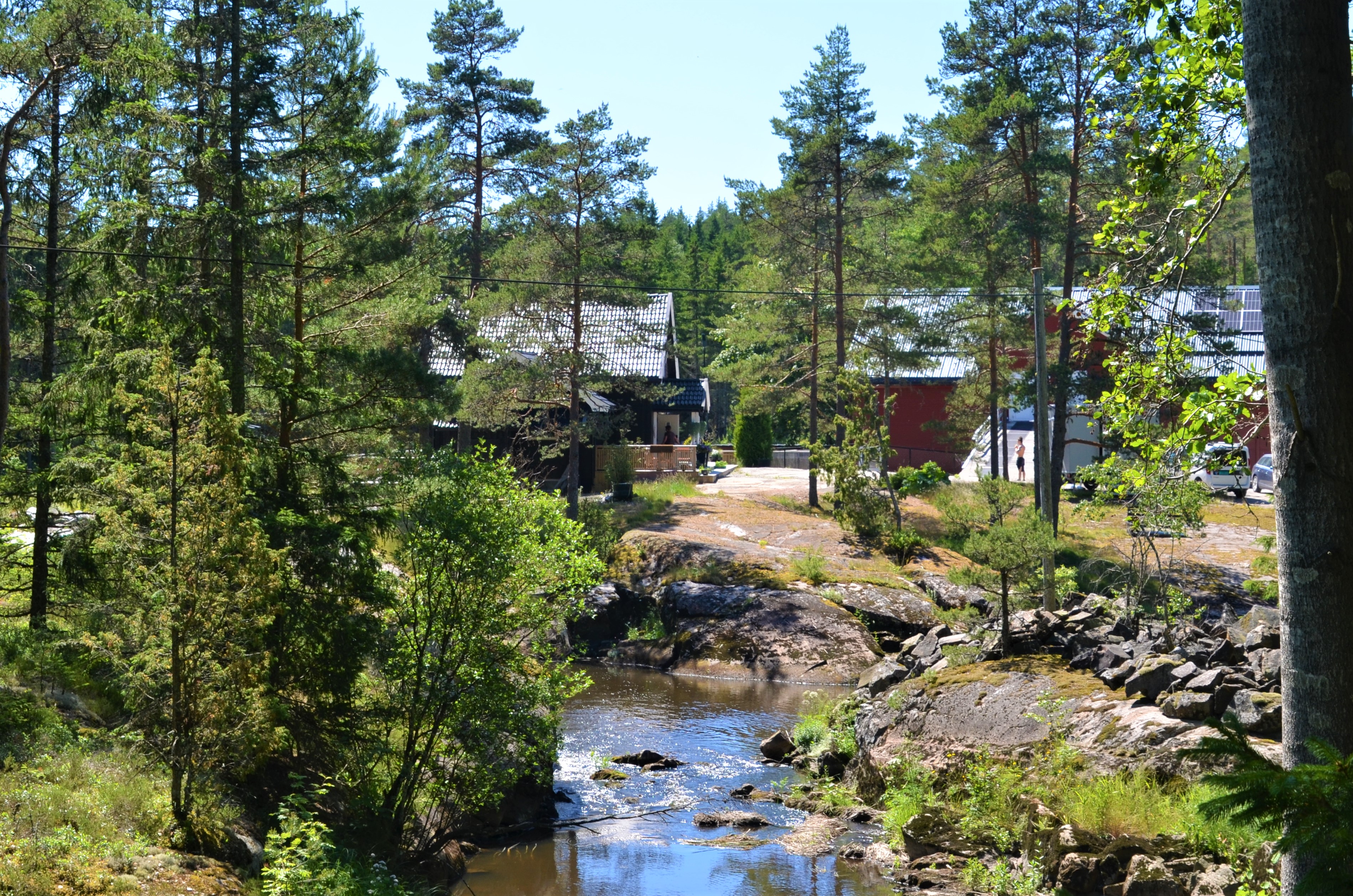 Farmen hunde – og kattehotell ligger idyllisk plassert tett på naturen, i Svinndal.