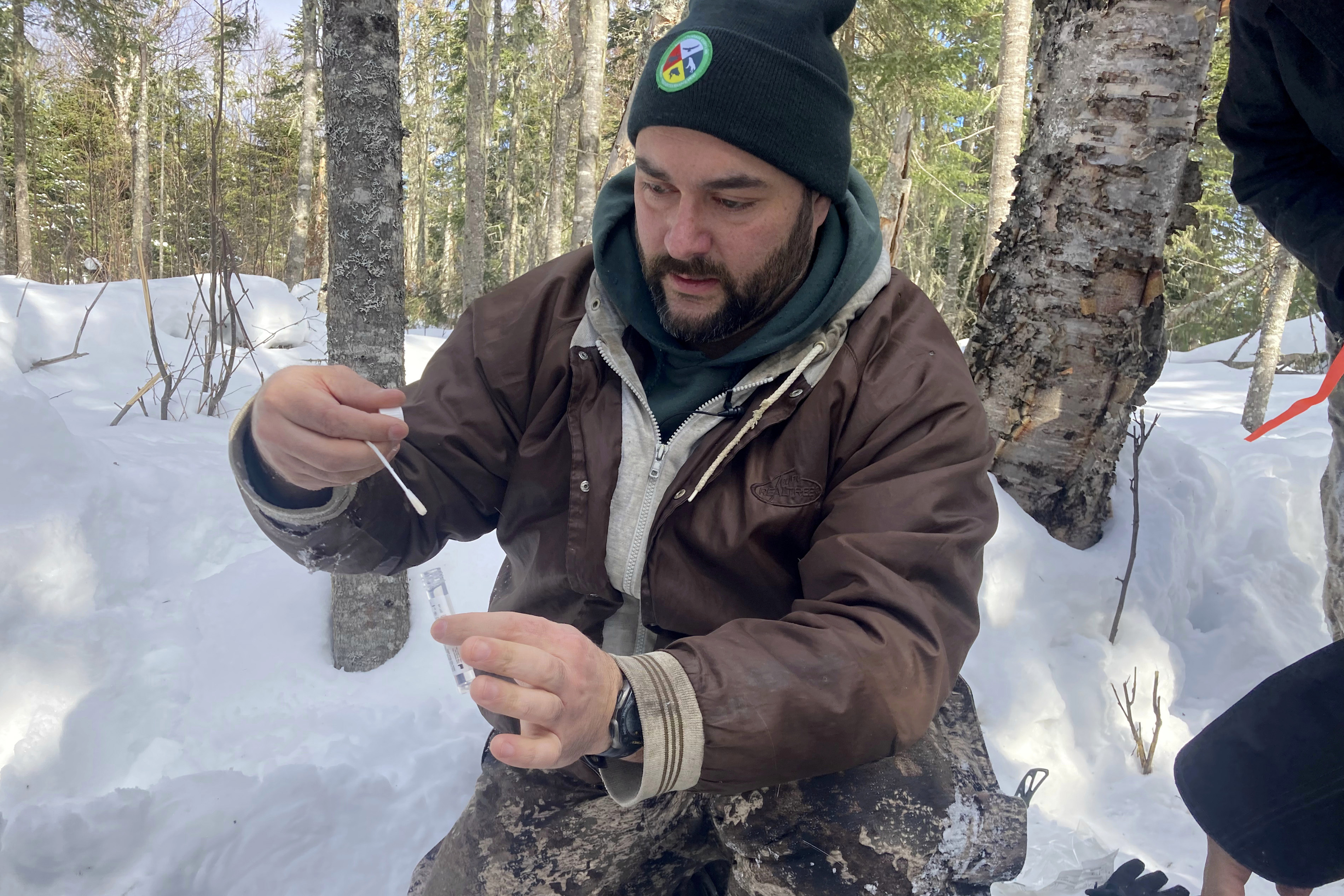 Forsker E.J. Isaac har akkurat fått tatt en koronatest av en hjort i de dype skogene nord i USA mot grensen til Canada. Forskerteamet han er en del av forsøker å finne ut om og hvordan virus spres mellom ville dyrearter. Foto: Laura Ungar / AP / NTB