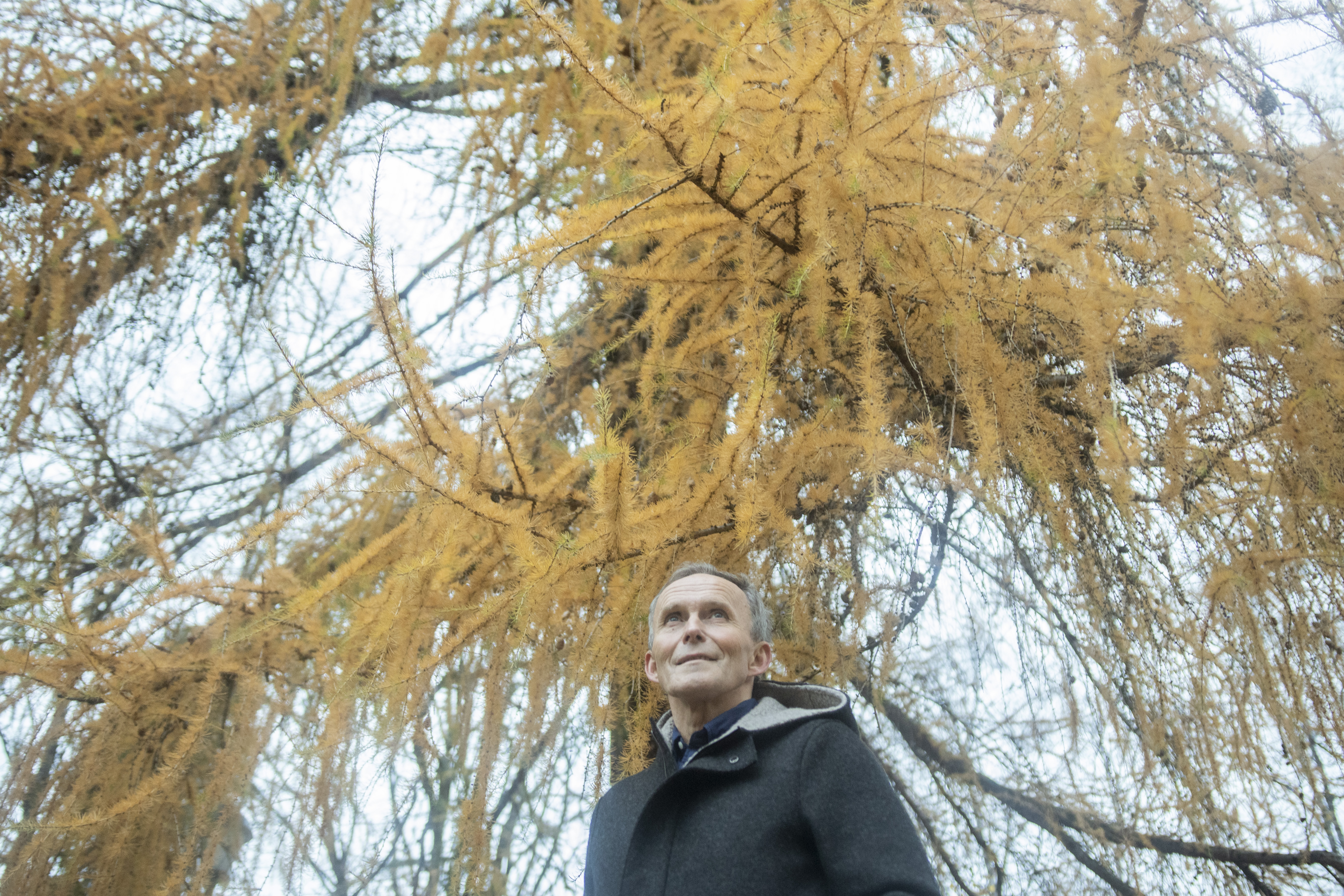 Overgrep: Hele livet har Odd Werner Hansen (56) gruet seg til jul. Høytiden har vært en tsunami av skyld og skam. Men ikke i år.