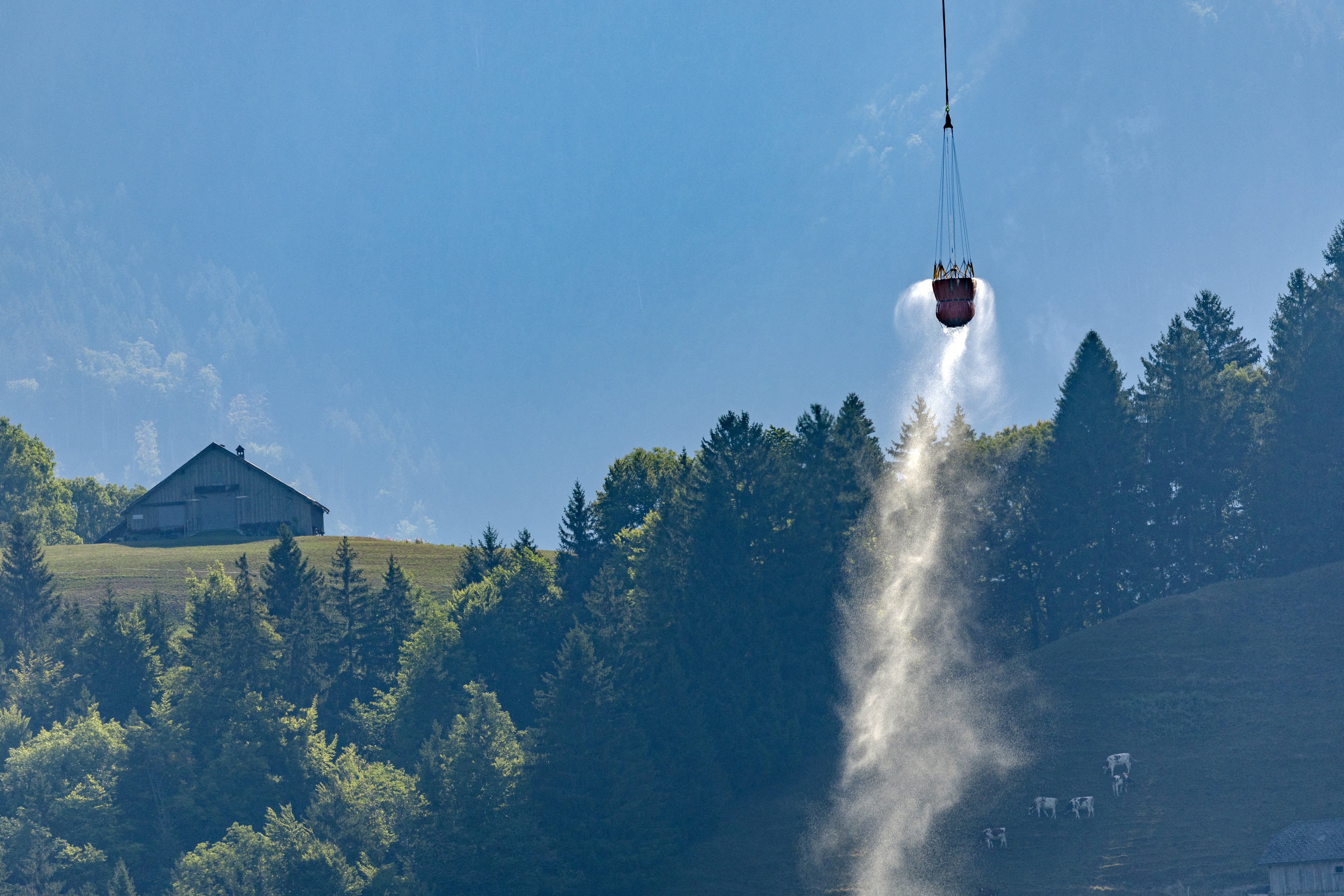 Et helikopter fra det sveitsiske luftforsvaret leverer vann til et uttørket beiteområde i Broc i Sveits.