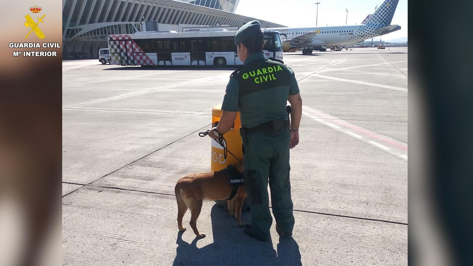 El polizón egipcio que llegó a Bilbao en la bodega de un avión pide asilo en España: “Mi vida corre peligro”