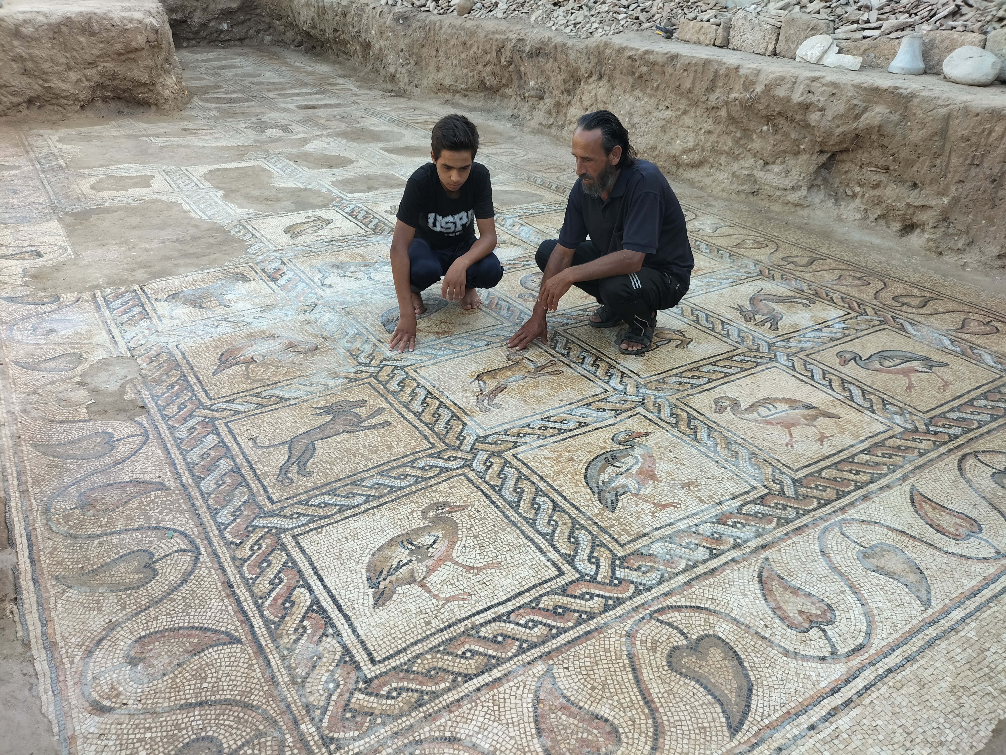 El enorme mosaico bizantino que escondía un olivar de Gaza