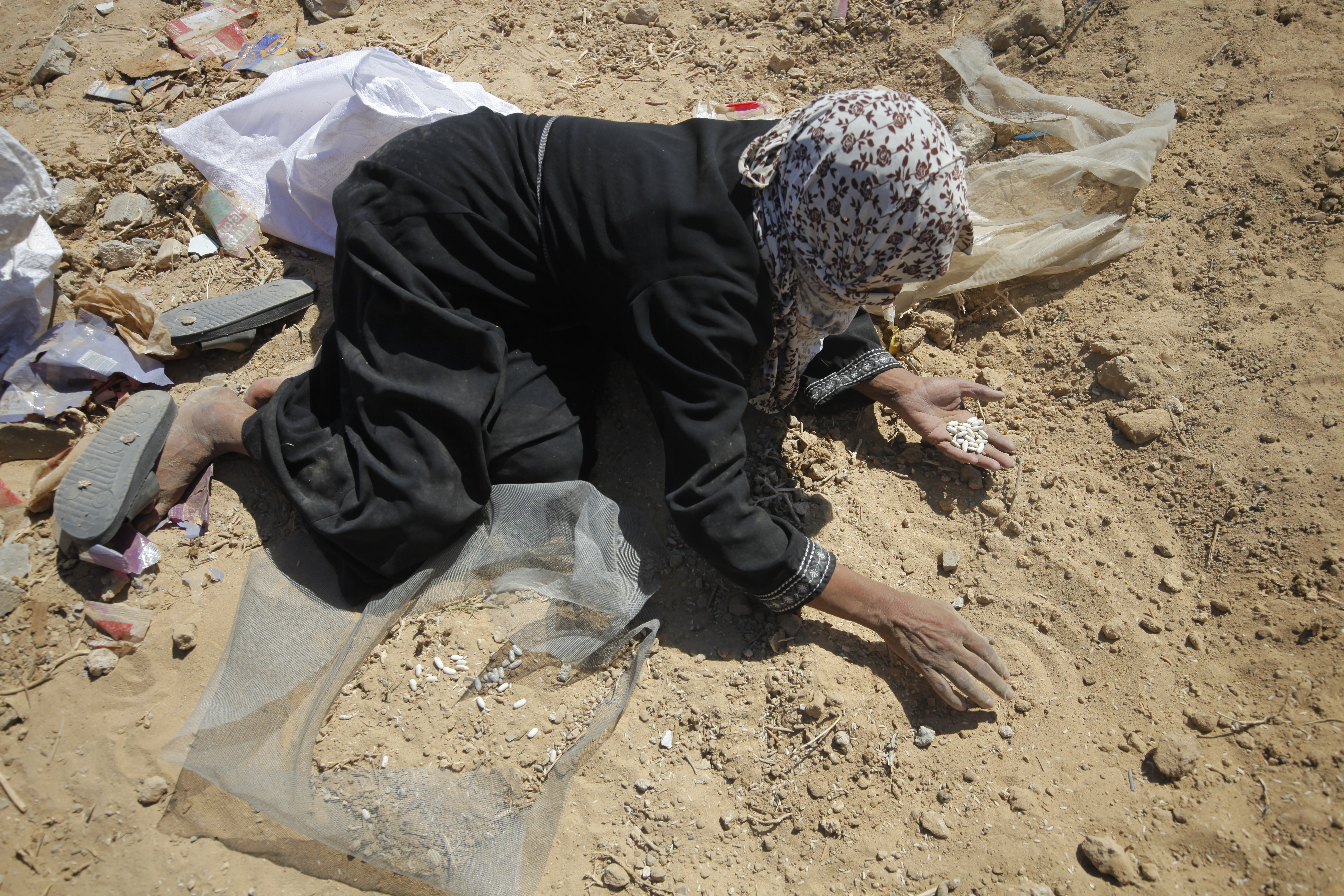 Una mujer recoge restos de arroz, lentejas y fríjoles del piso en Ciudad de Gaza, este miércoles 8 de agosto.
