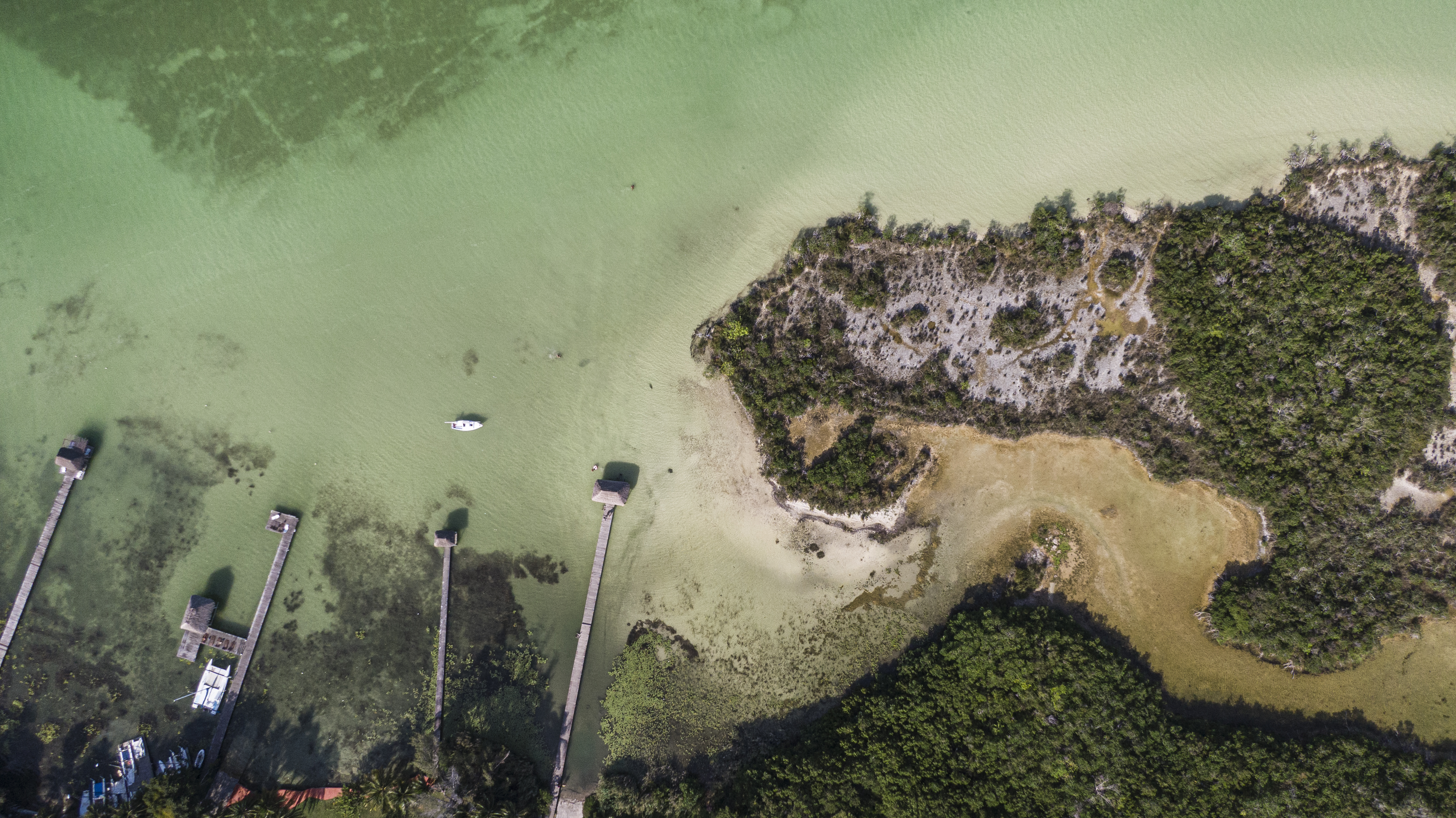 Riviera Maya: La ruina de una joya ecológica: los colores de la Laguna Bacalar se desvanecen sin protección ambiental | EL PAÍS México