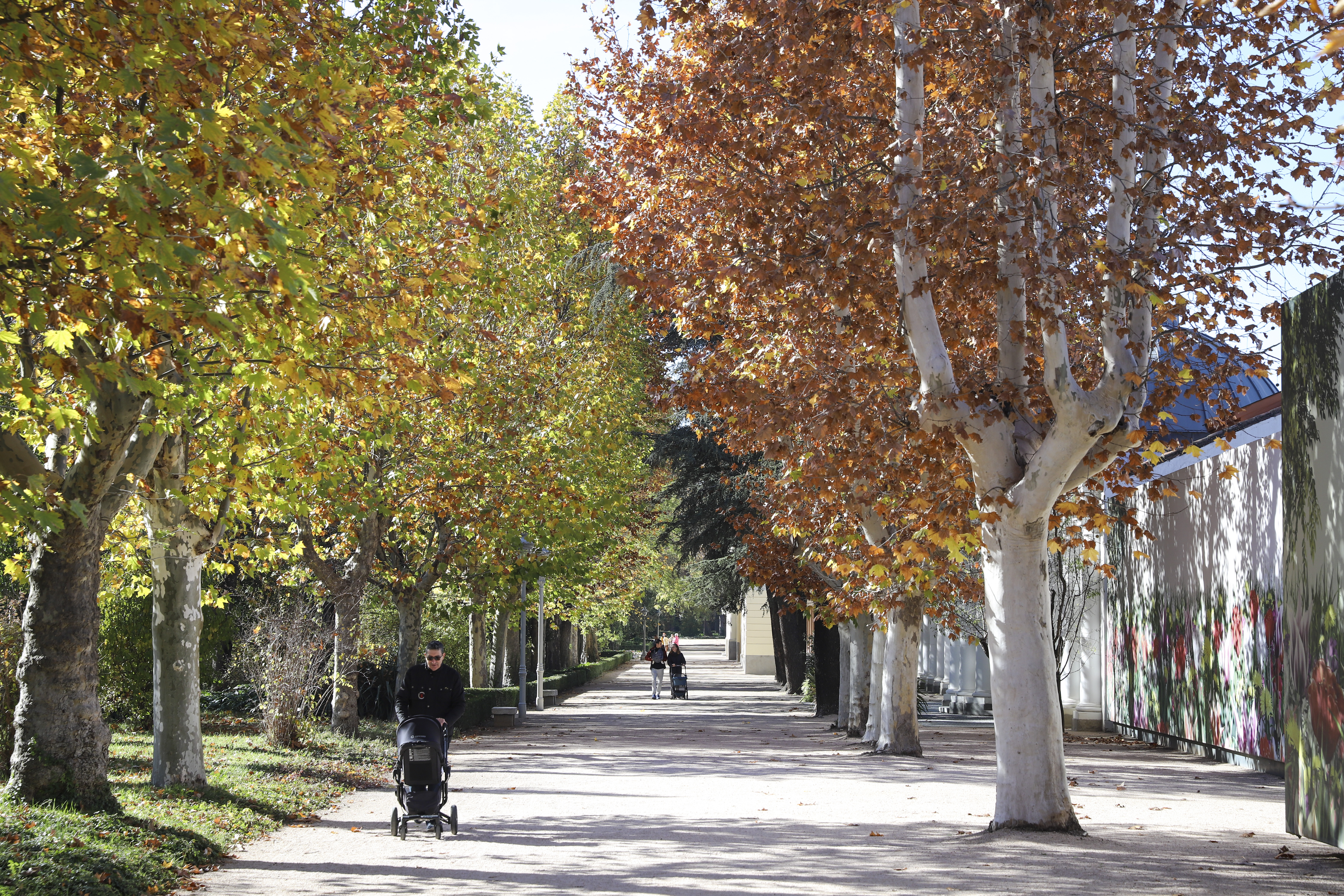 La avenida principal de la Quinta de Vista alegre en noviembre de 2023