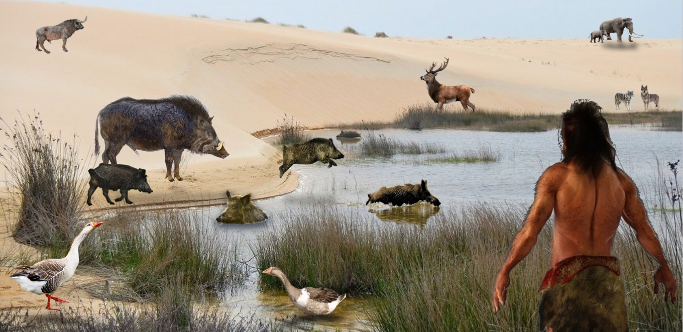 Recreación del sistema dunar lacustre de la zona que hoy ocupa Doñana hace 150.000 años.