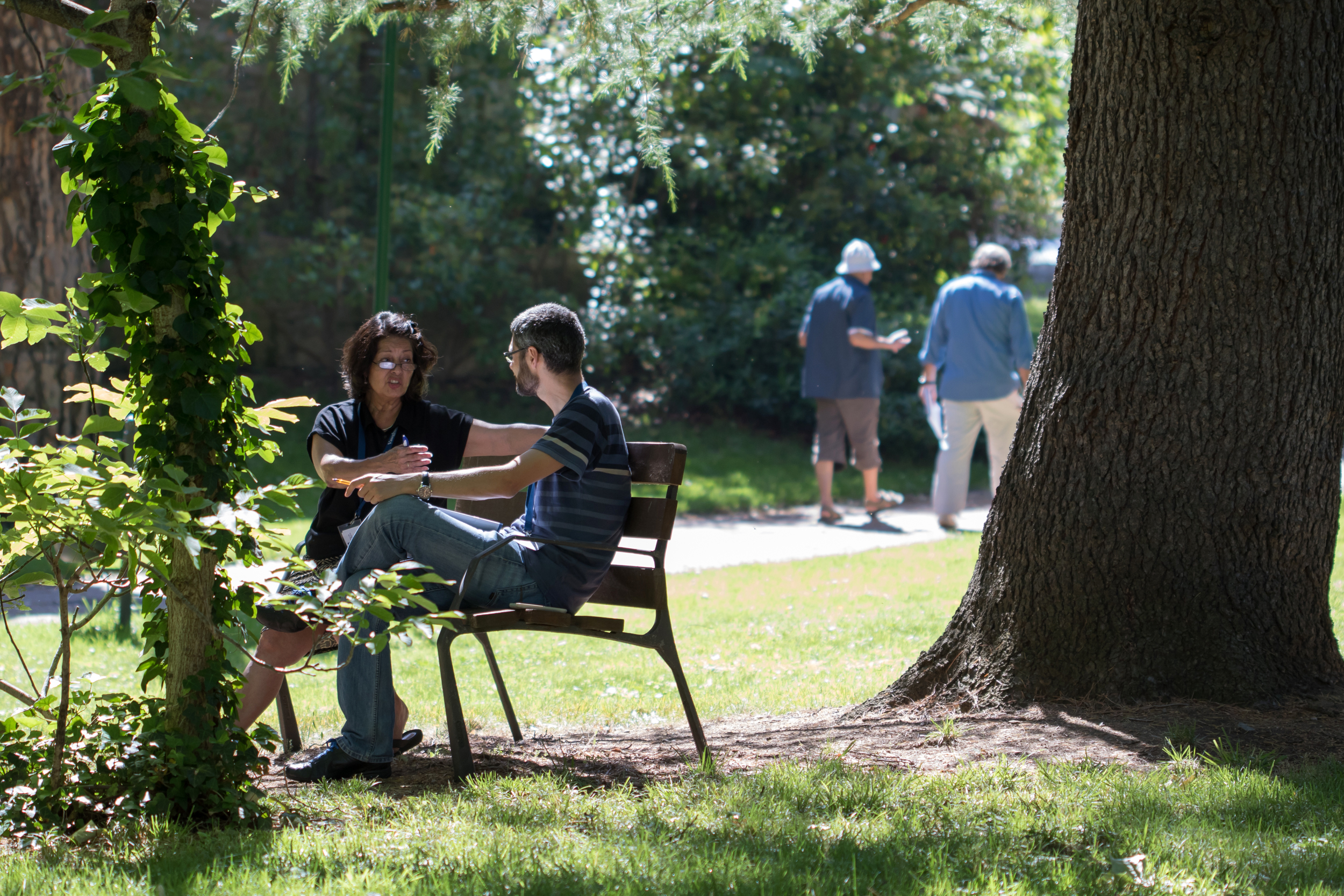 Empleados que se zambullen en el inglés: cómo aprovechar el verano para mejorar en idiomas