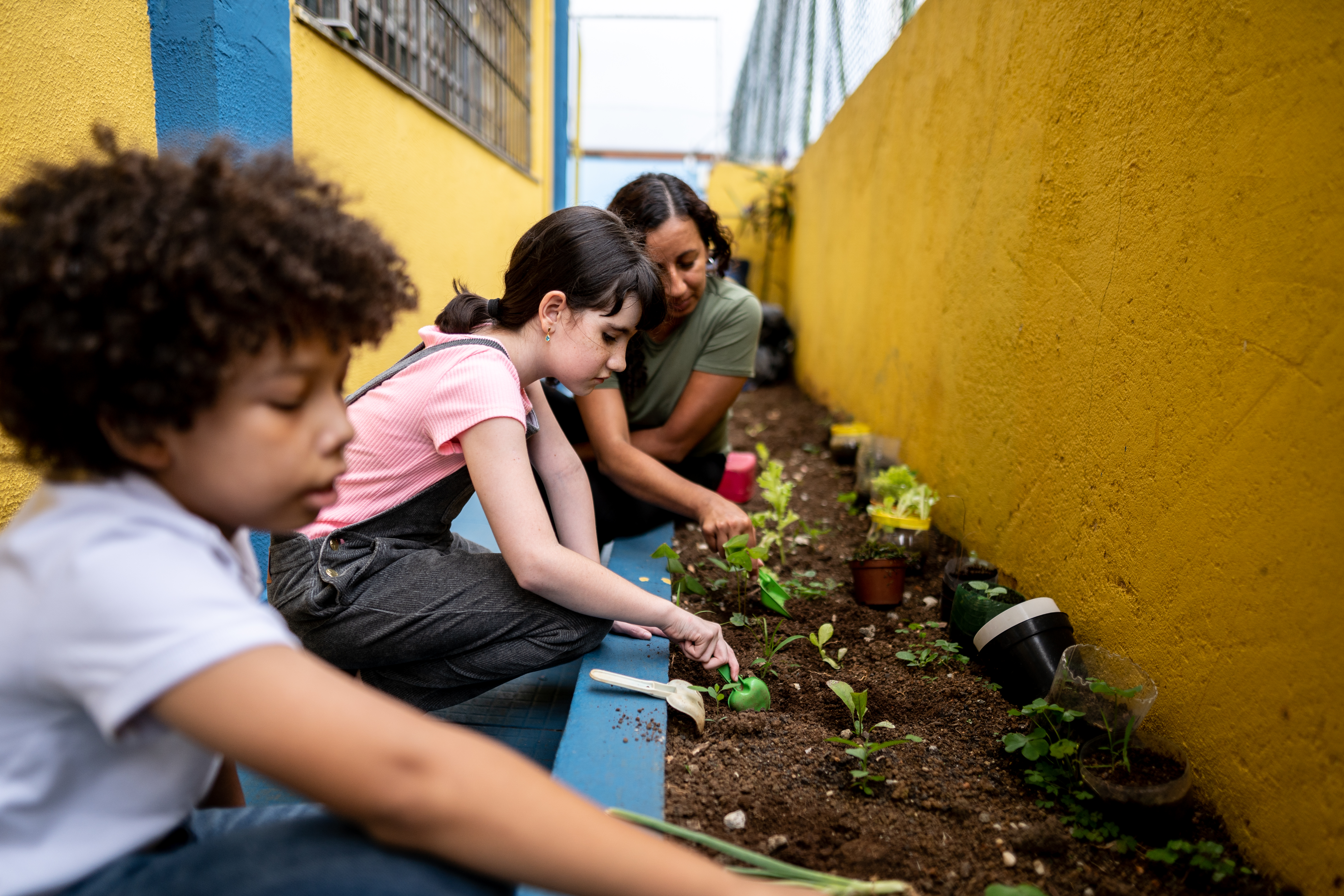 Estudiantes de sexto grado nutren el jardín de carretillas, mientras  cultivan conexiones comunitarias. - Comunidades Saludables - ANR Blogs