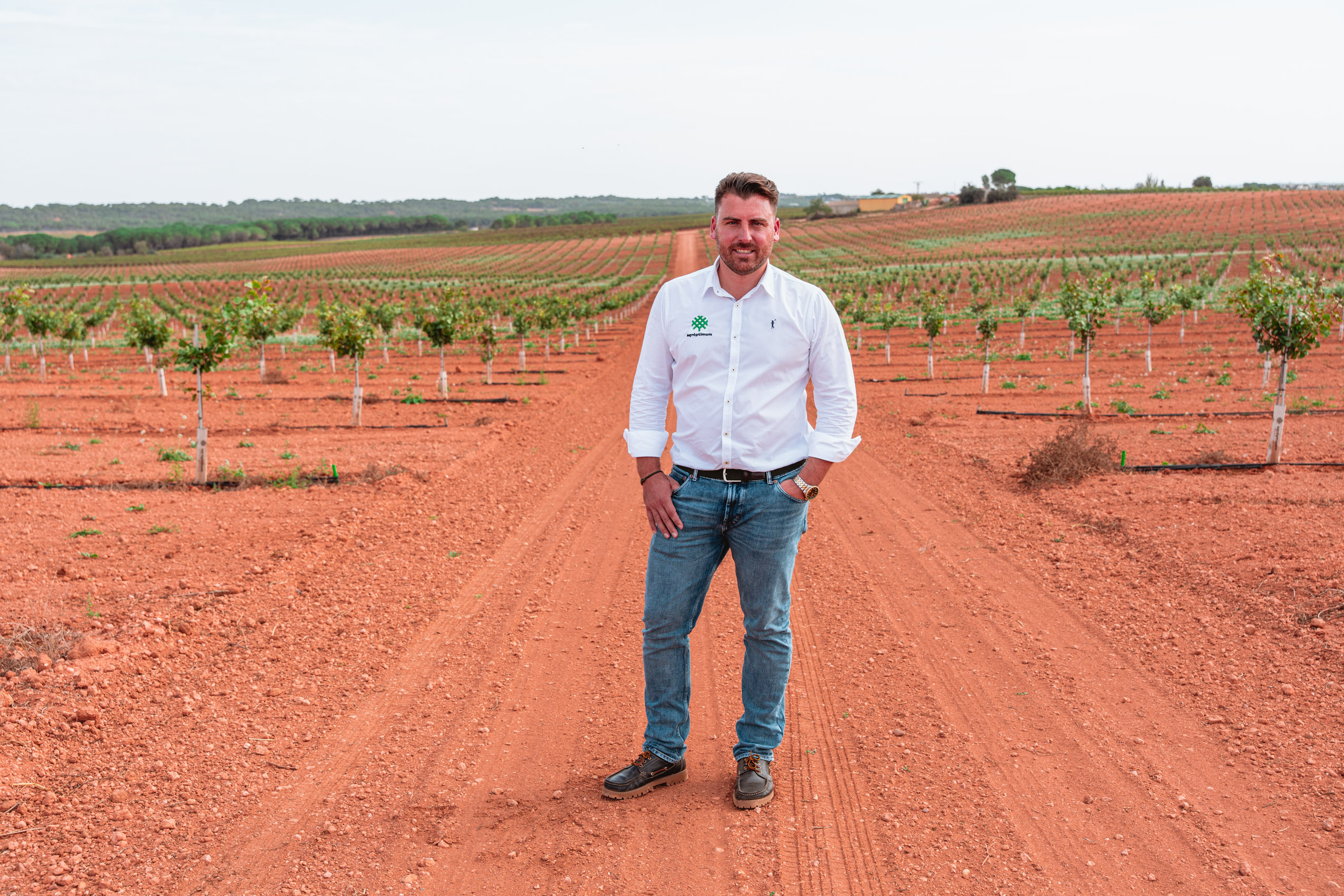 Ángel Minaya, fundador de Agróptimum, en Casa del Olmo, un cultivo de 236 hectáreas destinado a la siembra de pistacho injertado en troncos UCB-1