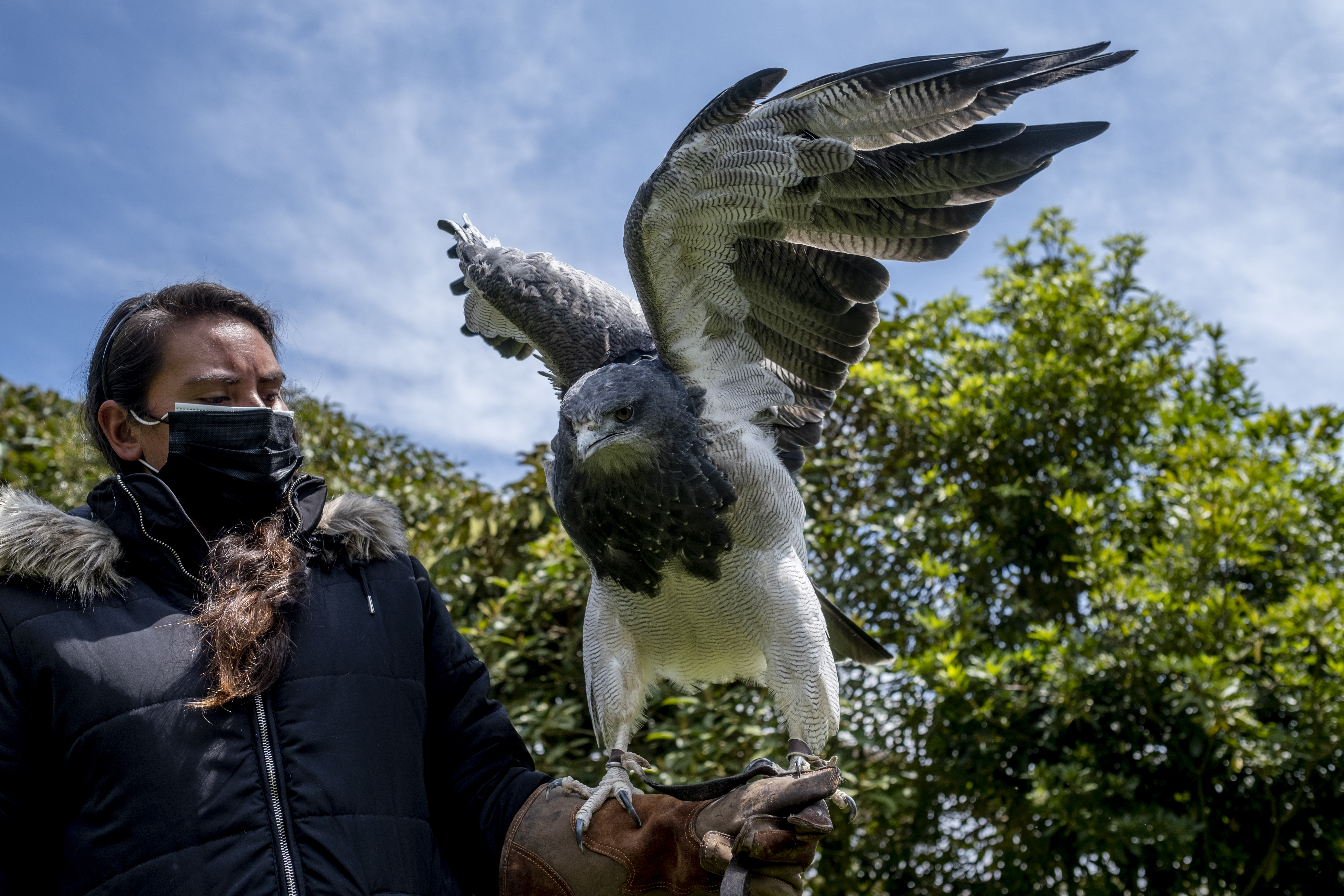 La Reserva: El jardín de los animales rotos | Planeta Futuro | EL PAÍS