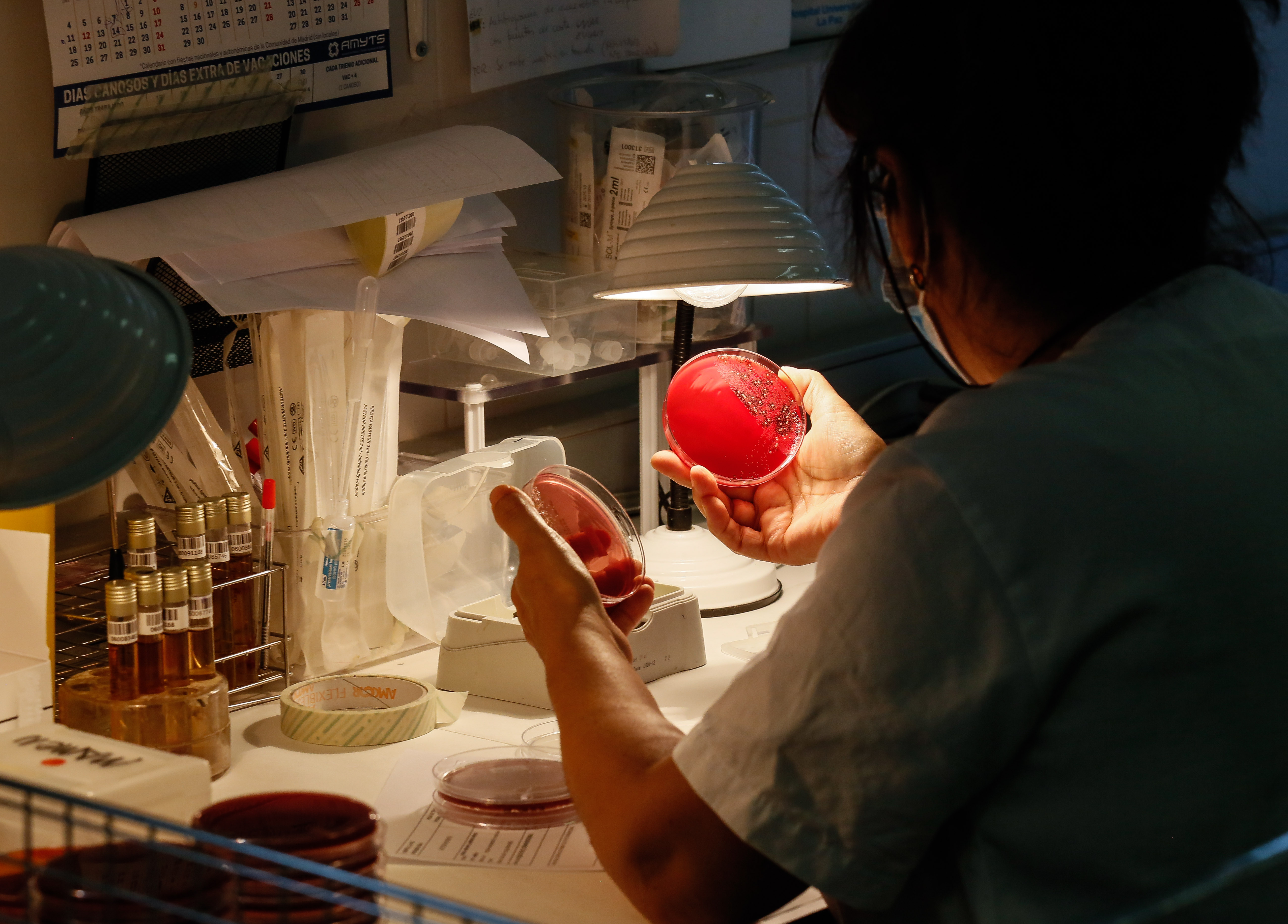 Una trabajadora en el laboratorio dedicado microbiología del Hospital La Paz de Madrid.