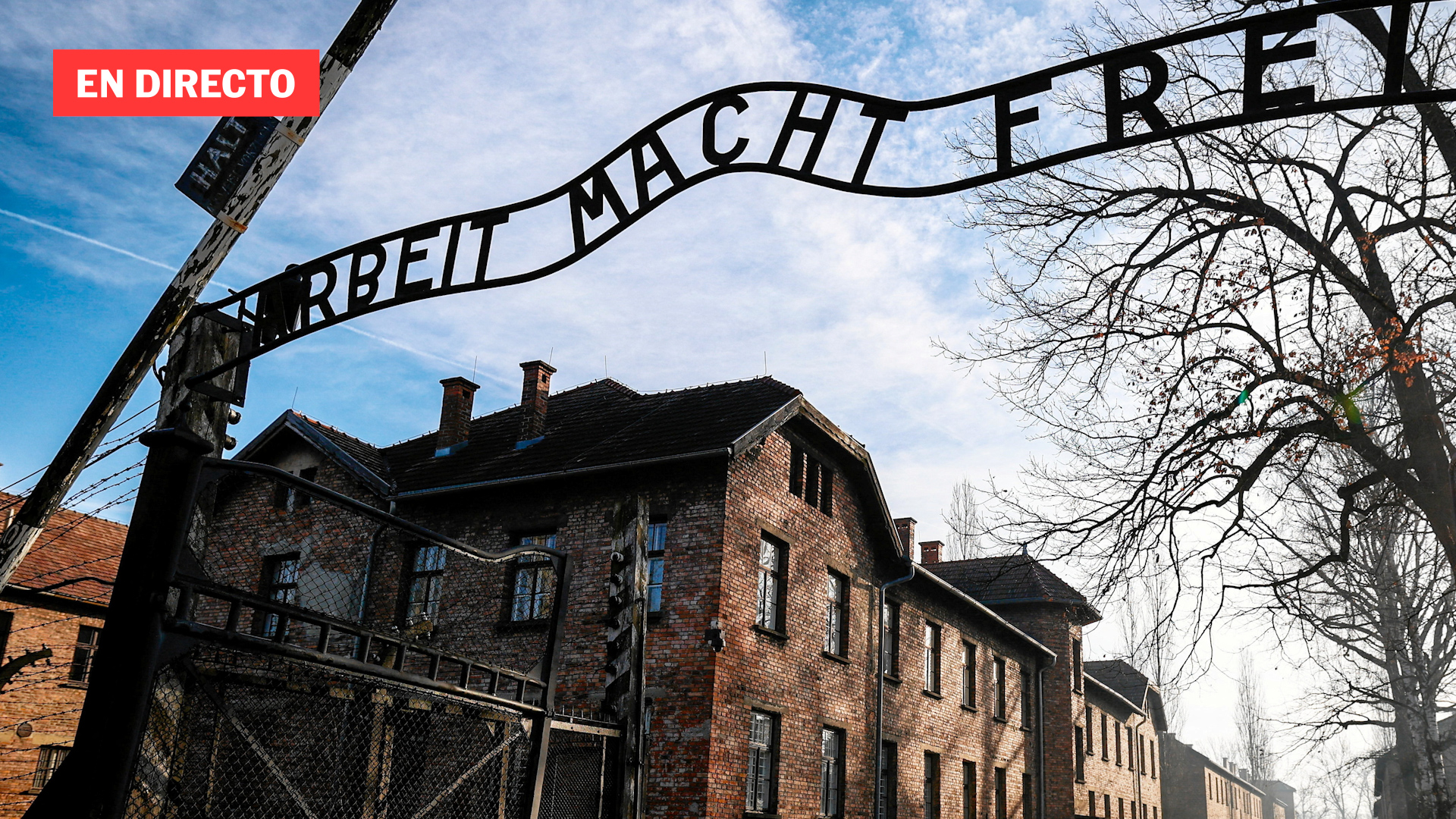 Liberacin De Auschwitz La Dramtica Historia De Los Sonderkommandos