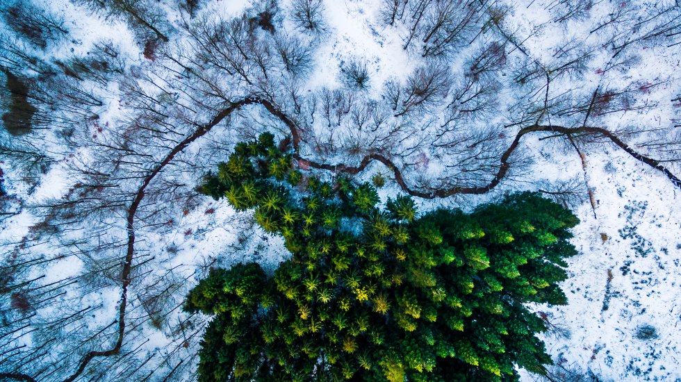 Imágenes tomadas con drone de búsqueda de víctimas