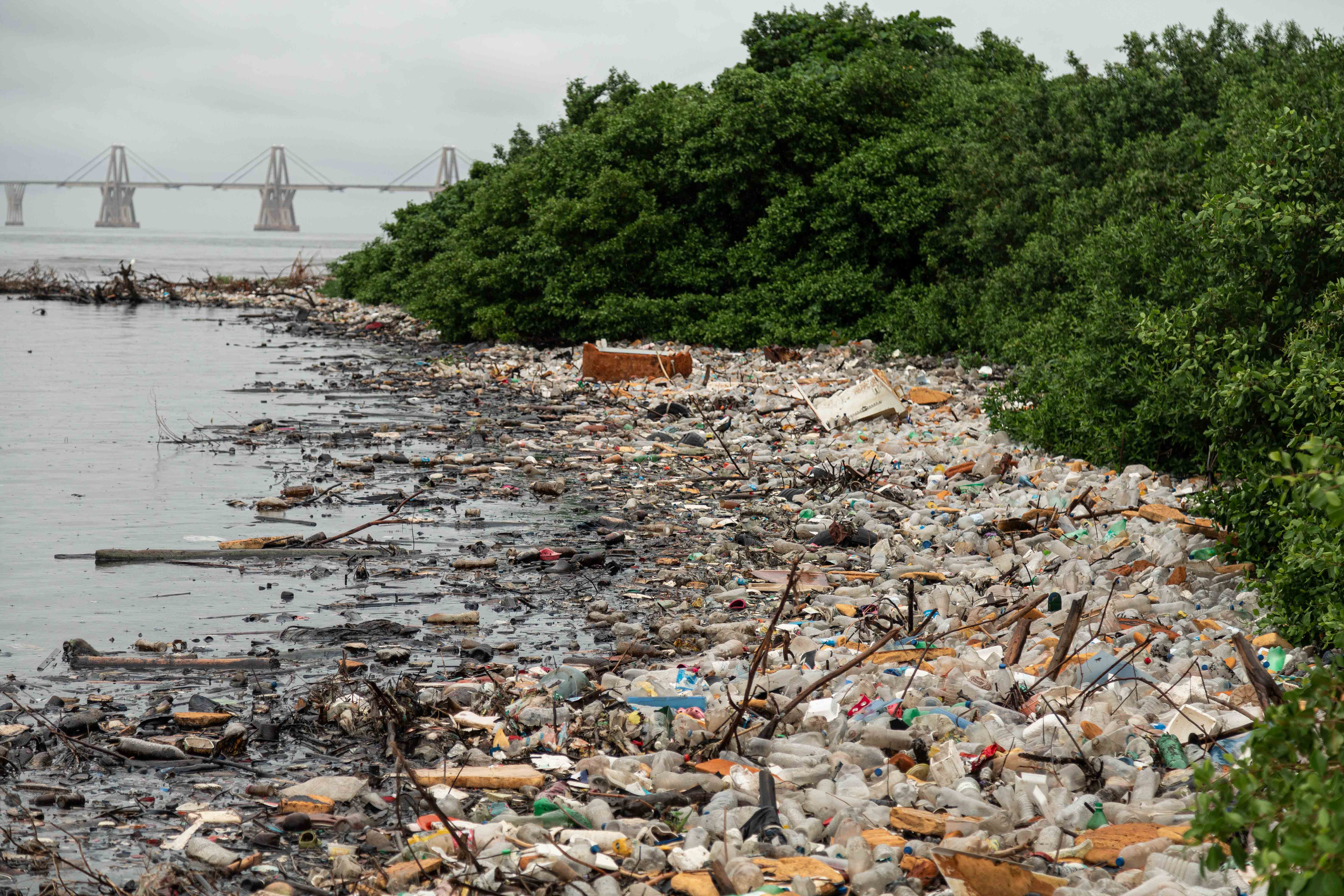 La creciente contaminación que asola el lago Maracaibo, en imágenes | Fotos  | Internacional | EL PAÍS