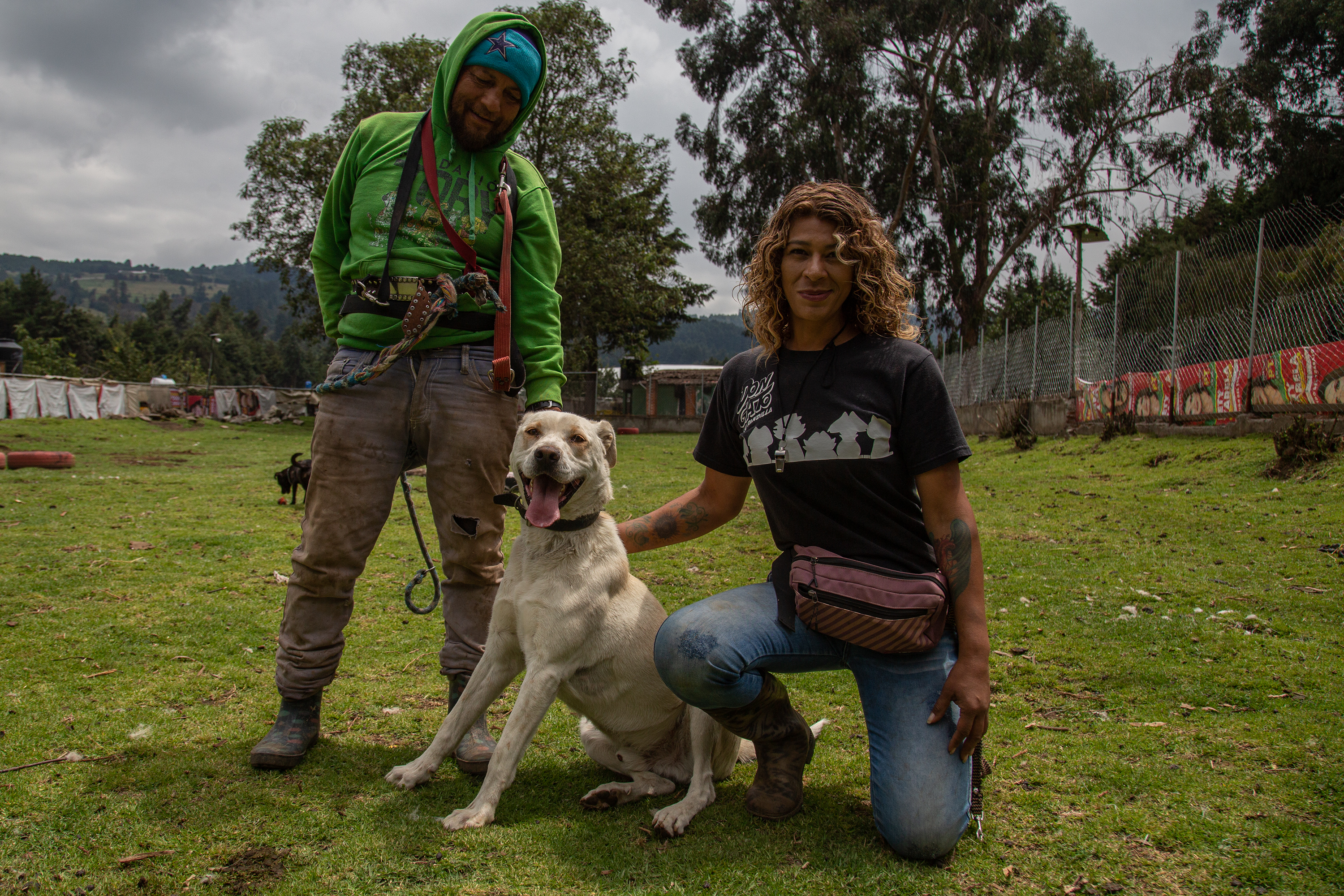 Videos de tortura y perros arrojados a aceite hirviendo: México se enfrenta  al monstruo del maltrato animal | EL PAÍS México