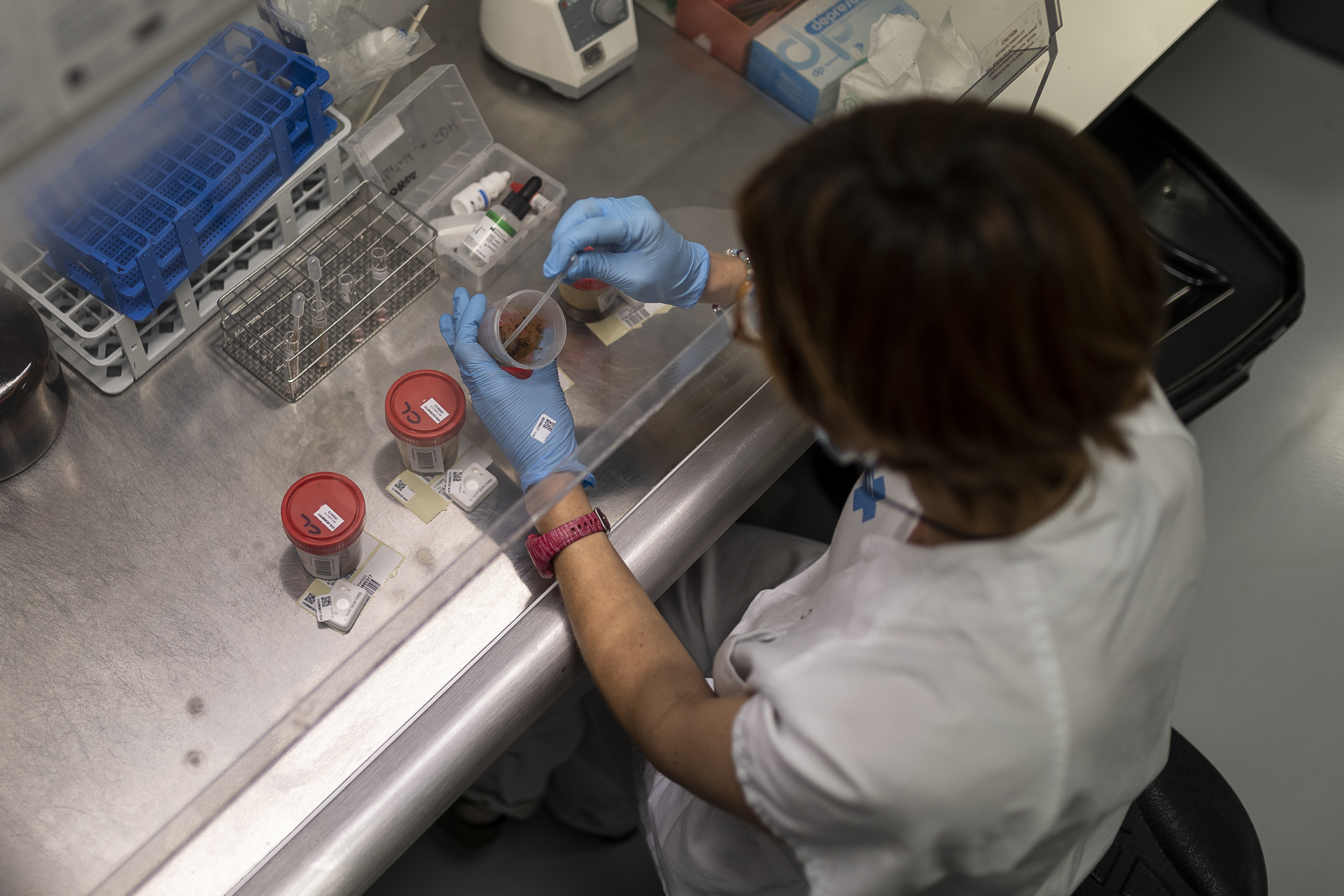 Una sanitaria analiza muestras de heces para detectar la bacteria 'Clostridioides difficile' en un laboratorio del Hospital de Bellvitge de Barcelona.