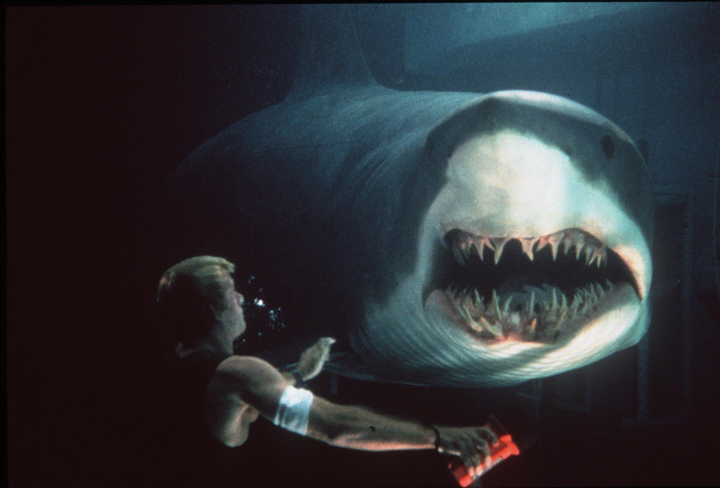 Shark terrorizes the Olympic Games: Why we can't get enough of sea monster  movies | Culture | EL PAÍS English, image size:2456x1666