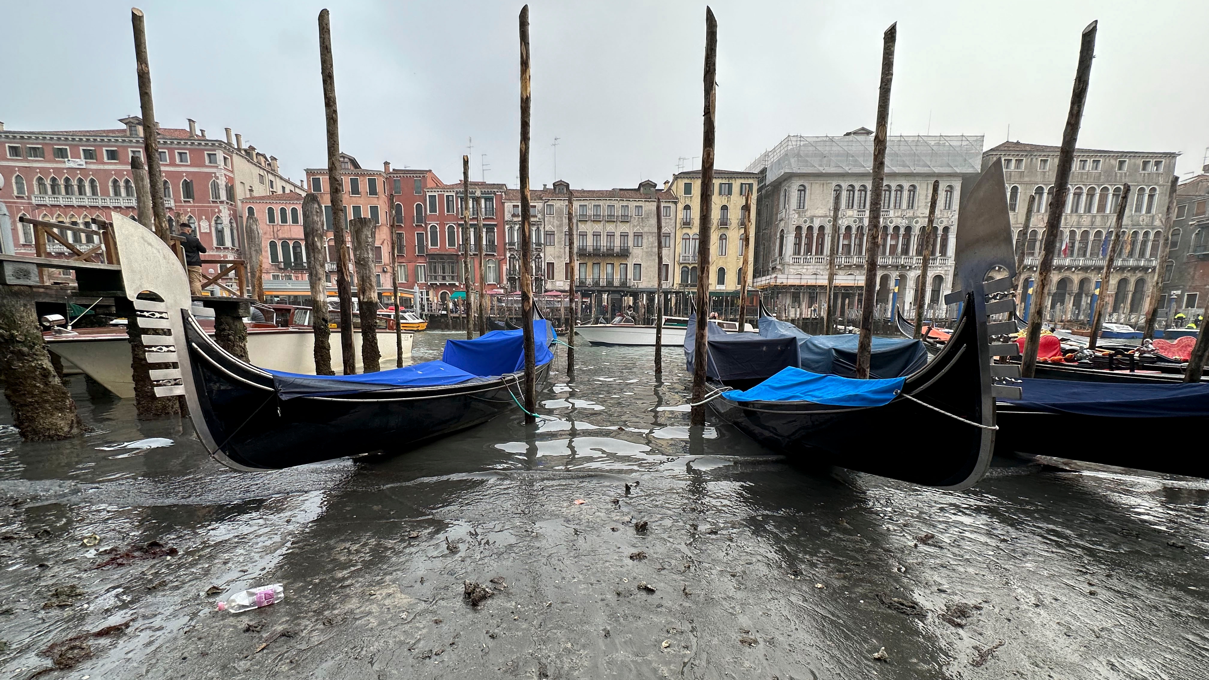 Venice S Canals Are Emptying And So