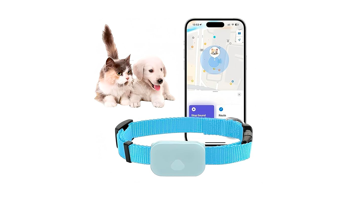 Collar GPS Collar GPS