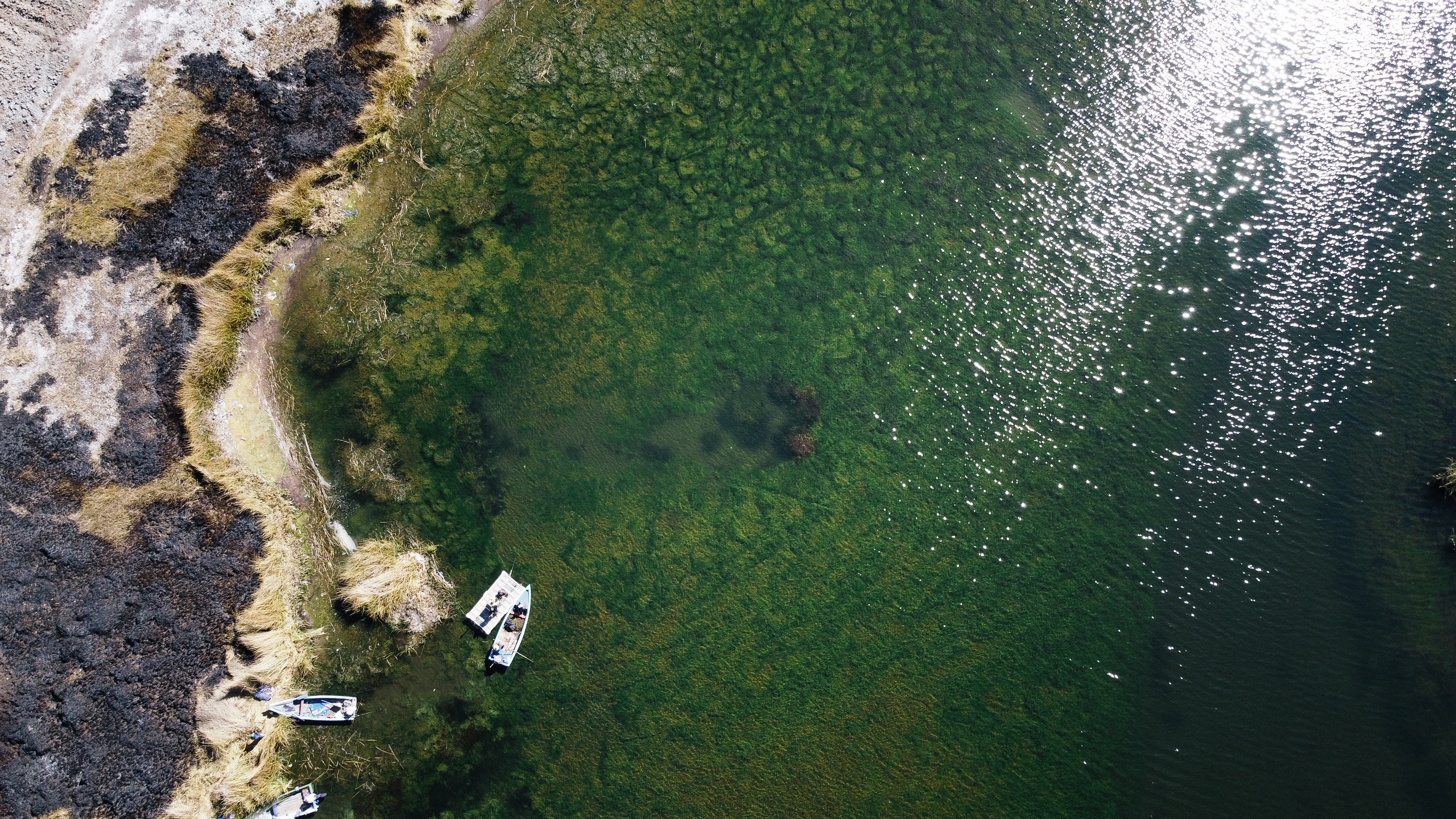 ¿Qué desafíos enfrenta el lago Titicaca, en Bolivia, por contaminación y uso?